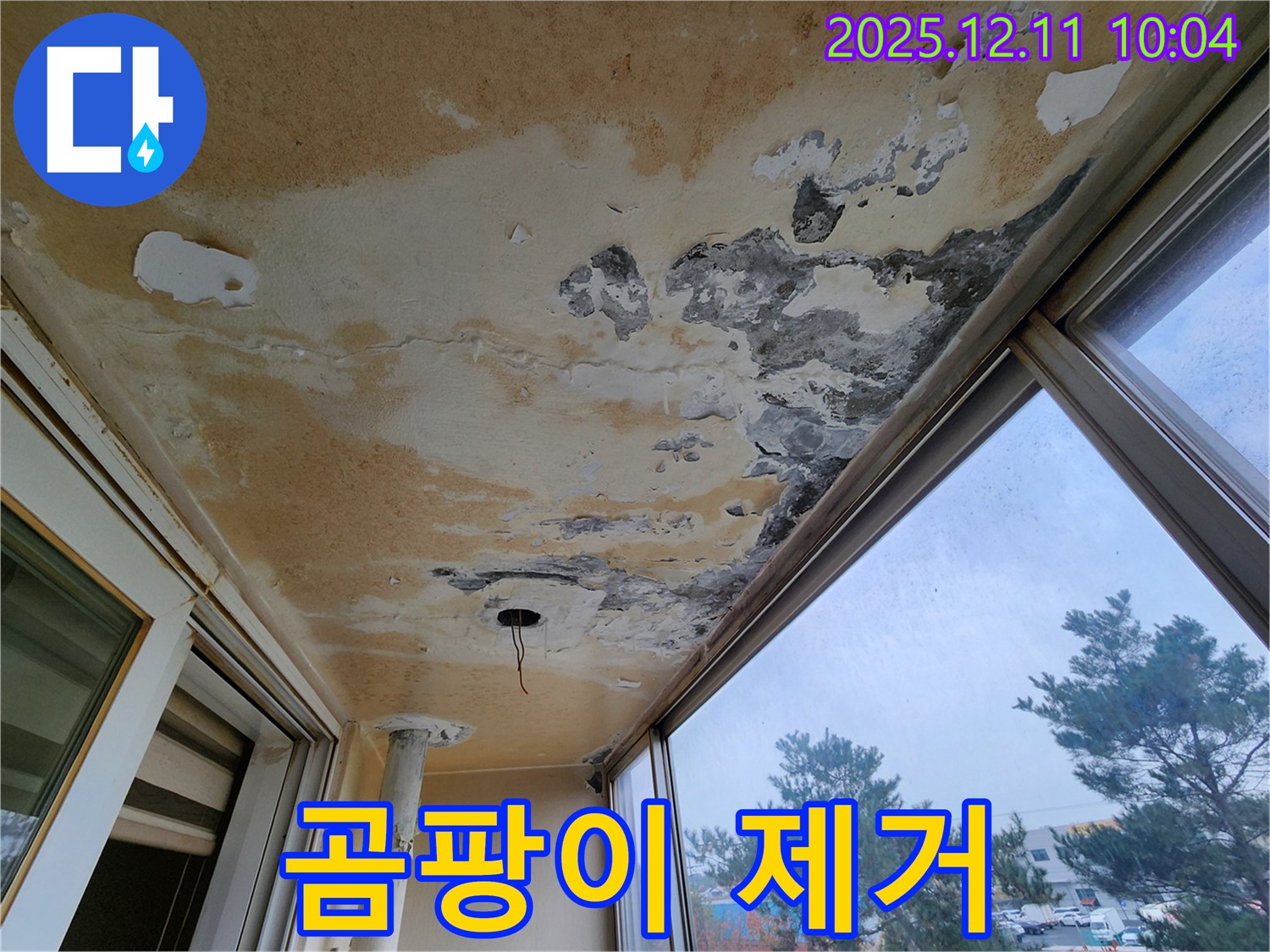 포천시 영중면 남궁리 - 베란다 천장 누수 곰팡이 제거 서비스를 제공하여 쾌적한 환경을 만들어 드립니다.