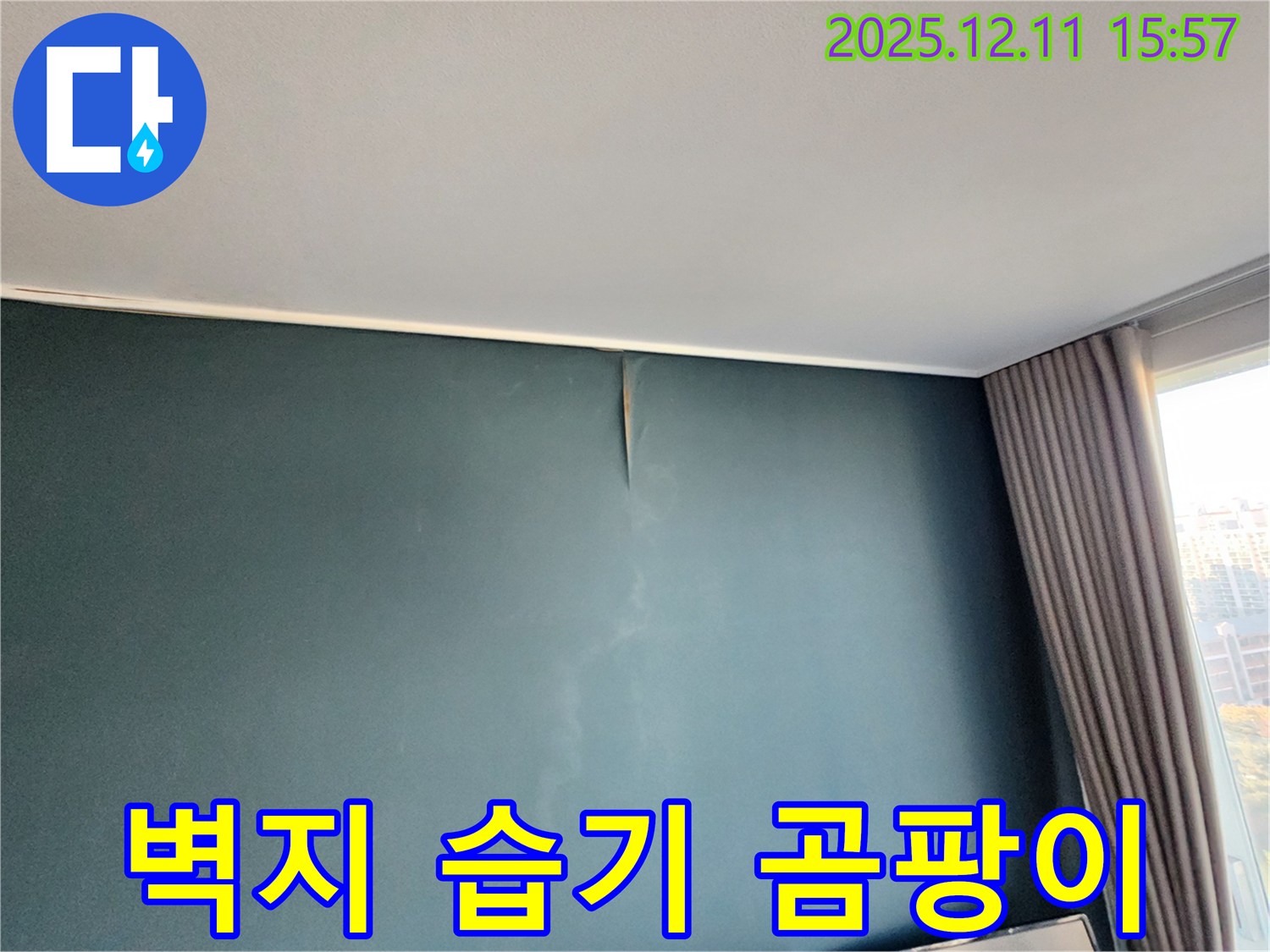 벽지 손상 - 습기 - 곰팡이 - 포천 누수 전문가의 완벽 해결