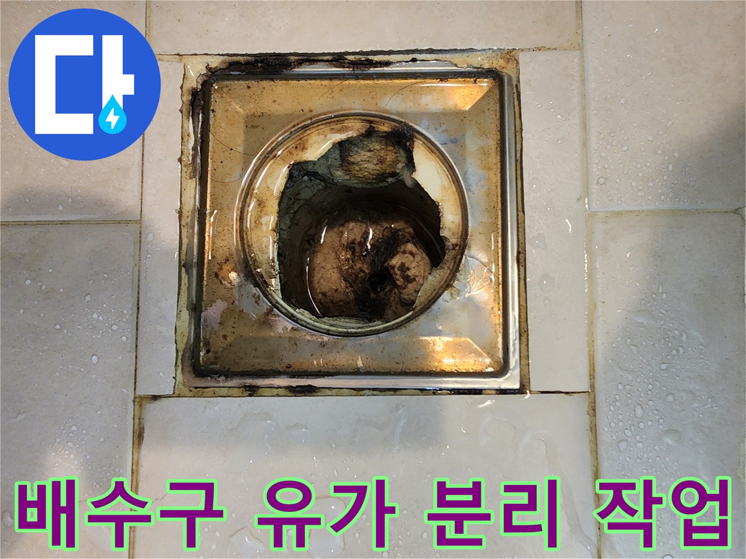 욕실 배수구-오래된 유가 분리-누수 점검 시작