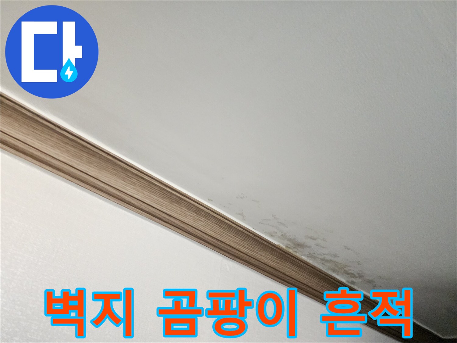벽지-표면에-발생한-검은색-곰팡이와-습기-흔적