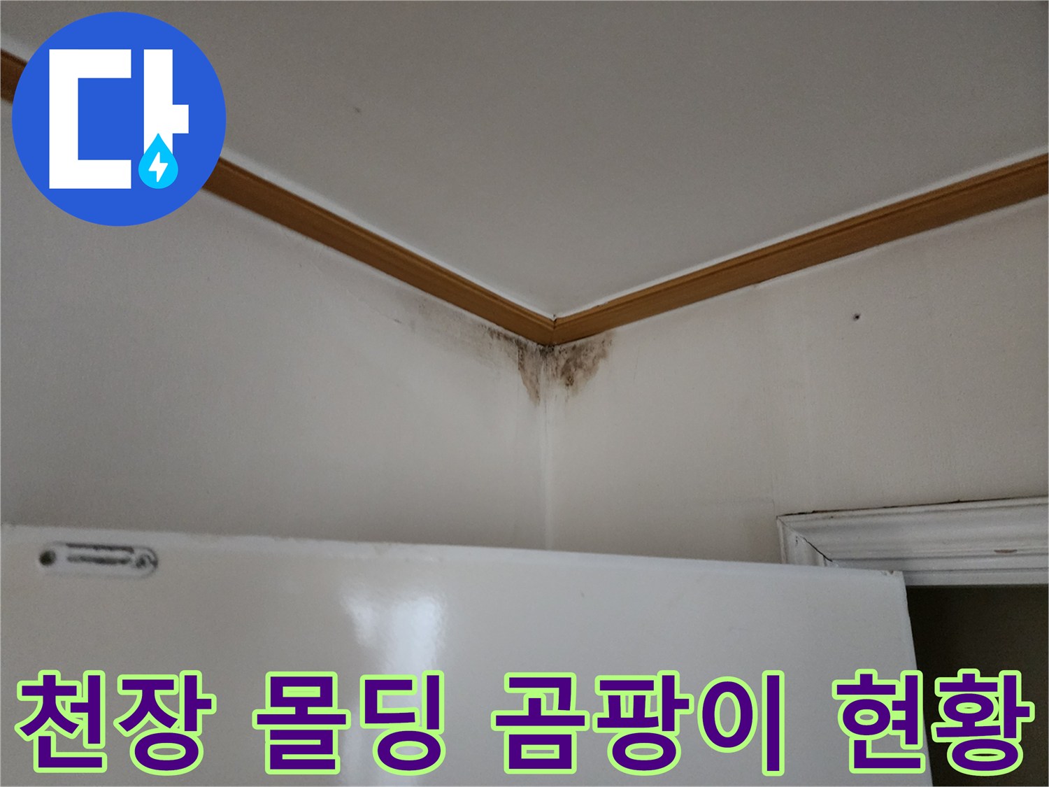 흰색 천장과 갈색 몰딩 사이에 나타난 곰팡이와 물자국