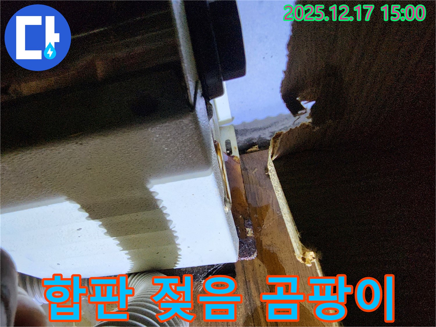 싱크대 누수로 인한 하부 합판 젖음과 곰팡이 문제 - 포천시 영북면 대회리 누수 전문 업체에서 해결