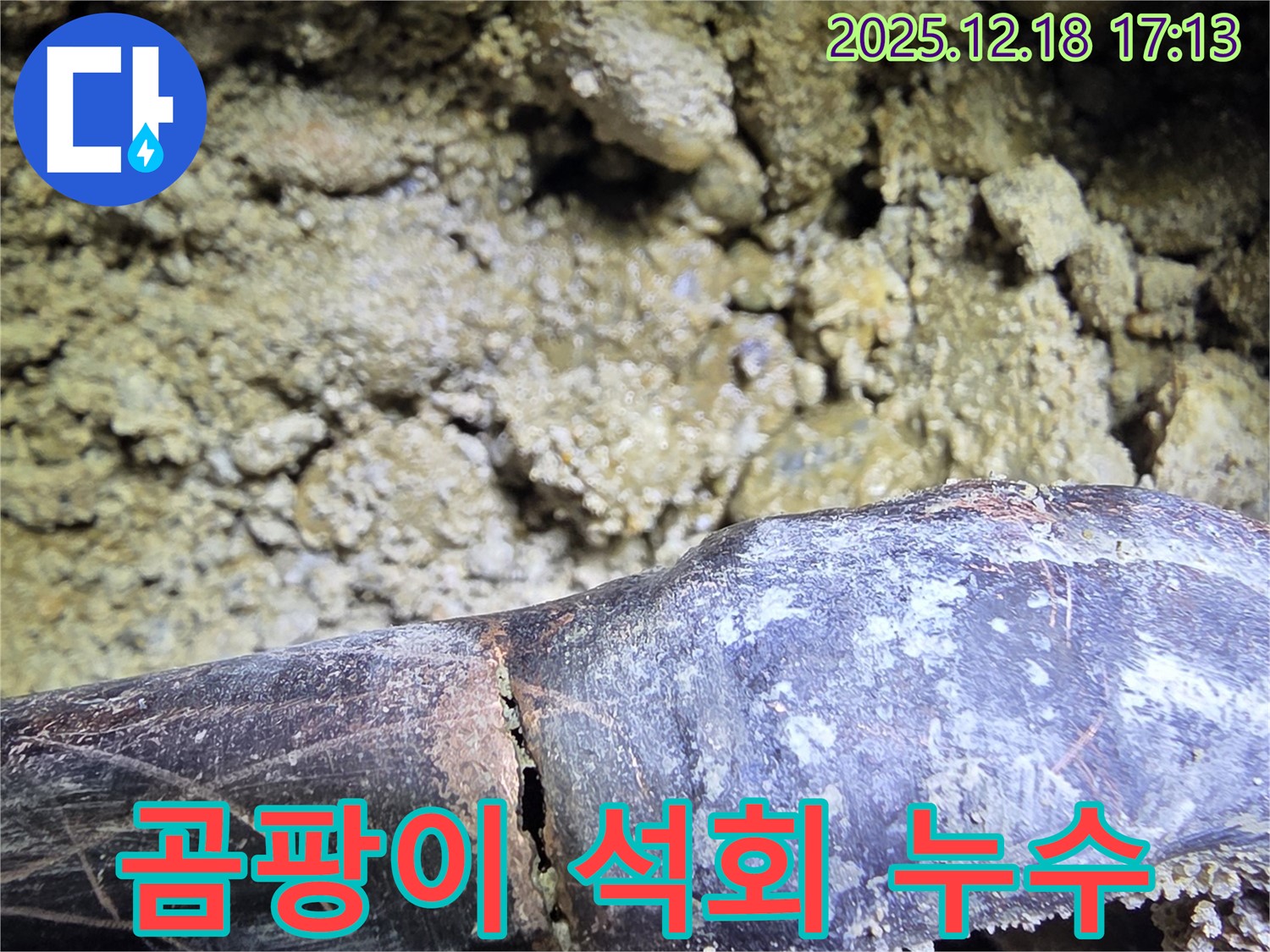 곰팡이와 석회의 콜라보 - 시흥 신천동 누수탐지 전문