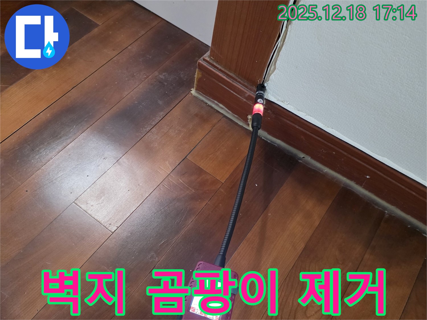신천동 누수 - 몰딩 주변 벽지 곰팡이 냄새를 제거하는 시흥 누수탐지 전문가의 완벽 시공