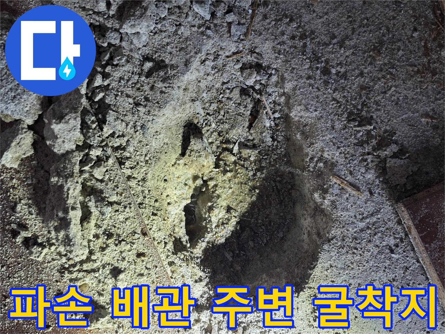 신천동 작업 현장-누수가 진행된 배관 주변의 굴착 상태