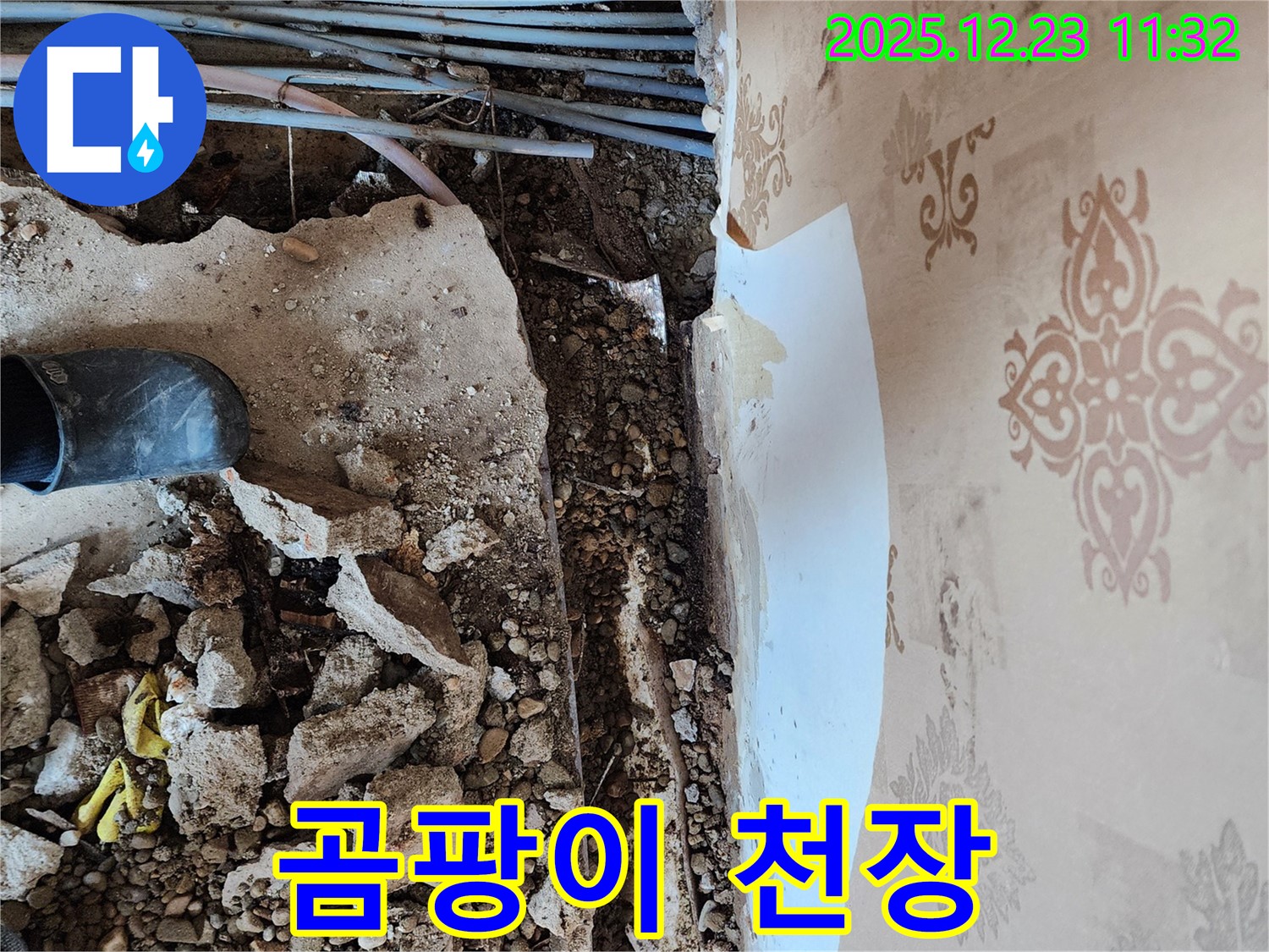 천장 누수 곰팡이 - 곰팡이가 심하게 핀 천장이 건강을 위협하고 있습니다.