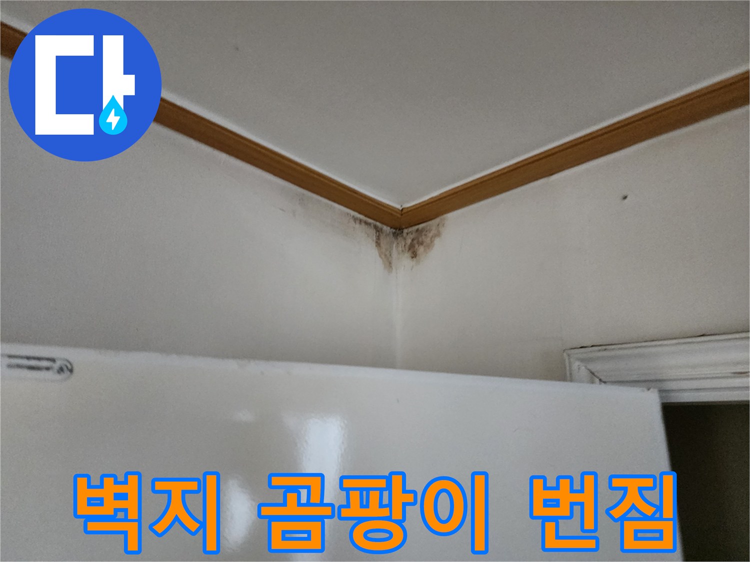 천장 모서리 부근의 젖은 벽지와 곰팡이