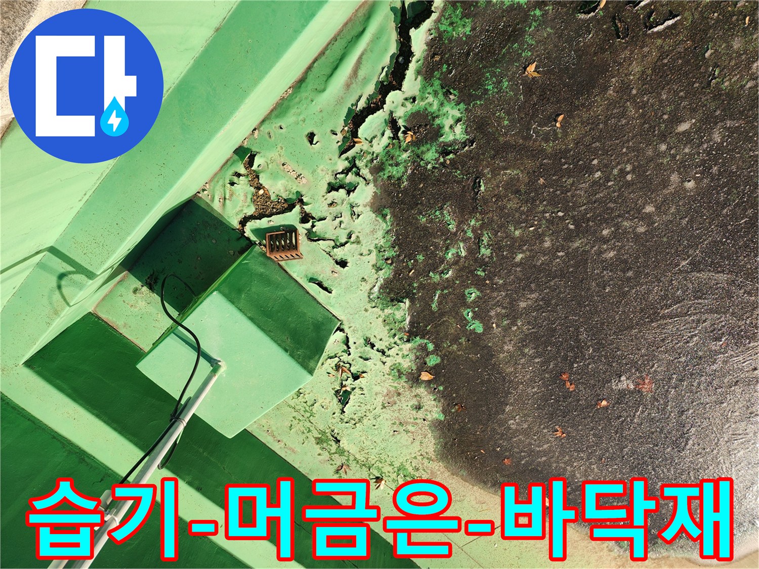 물샘-현상으로-변색된-바닥과-손상된-벽체