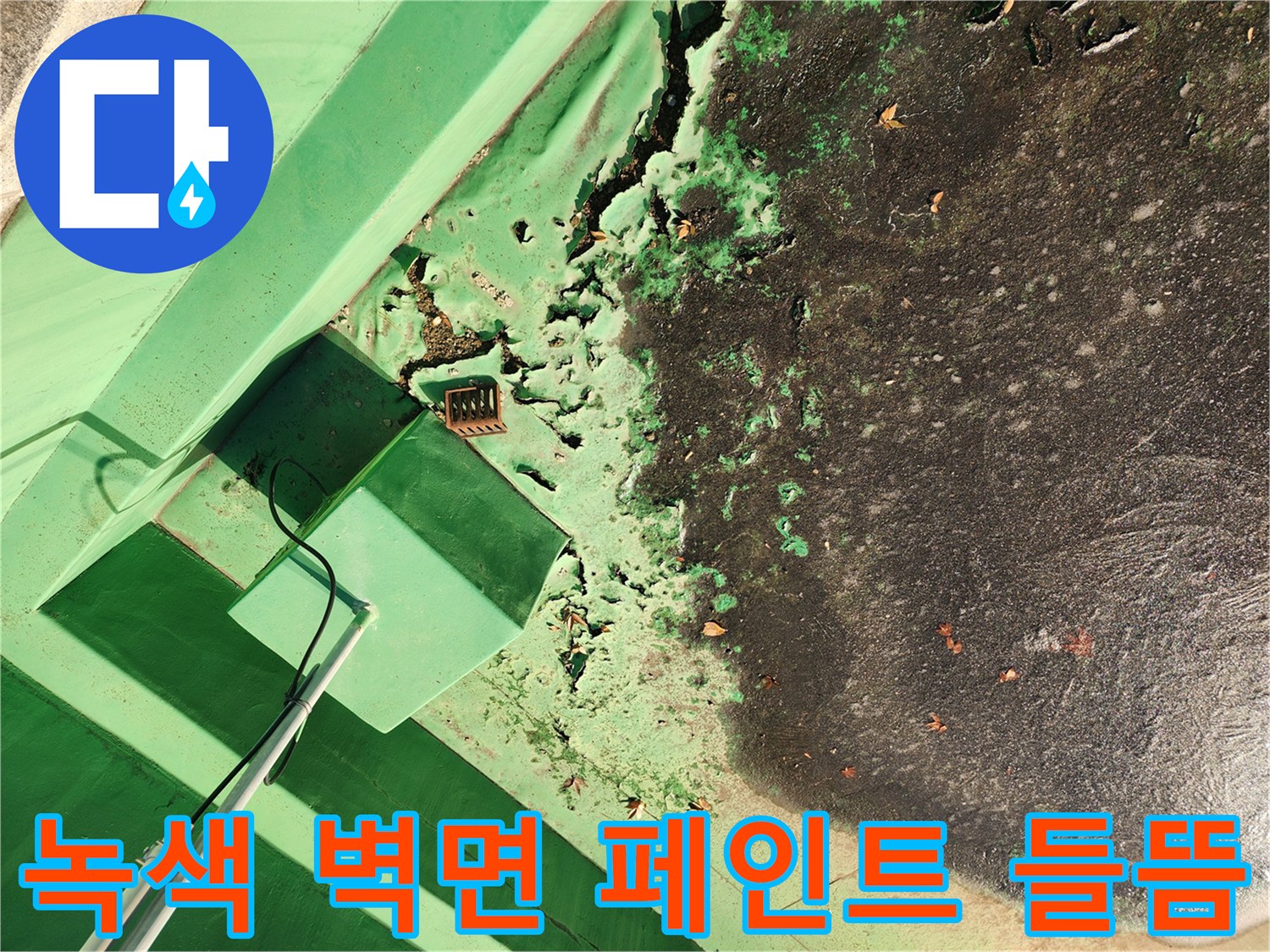 싱크대 배수 누수로 인해 녹색 페인트가 벗겨지고 부식된 외부 벽면 상태