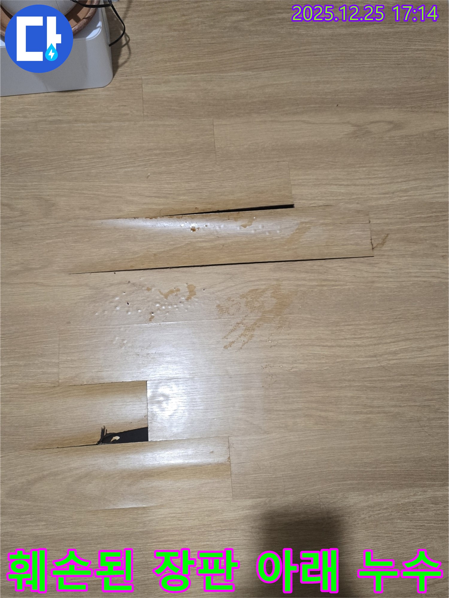 남양주 누수 현장 - 훼손된 장판 아래 숨겨진 누수, 완벽 해결 작업