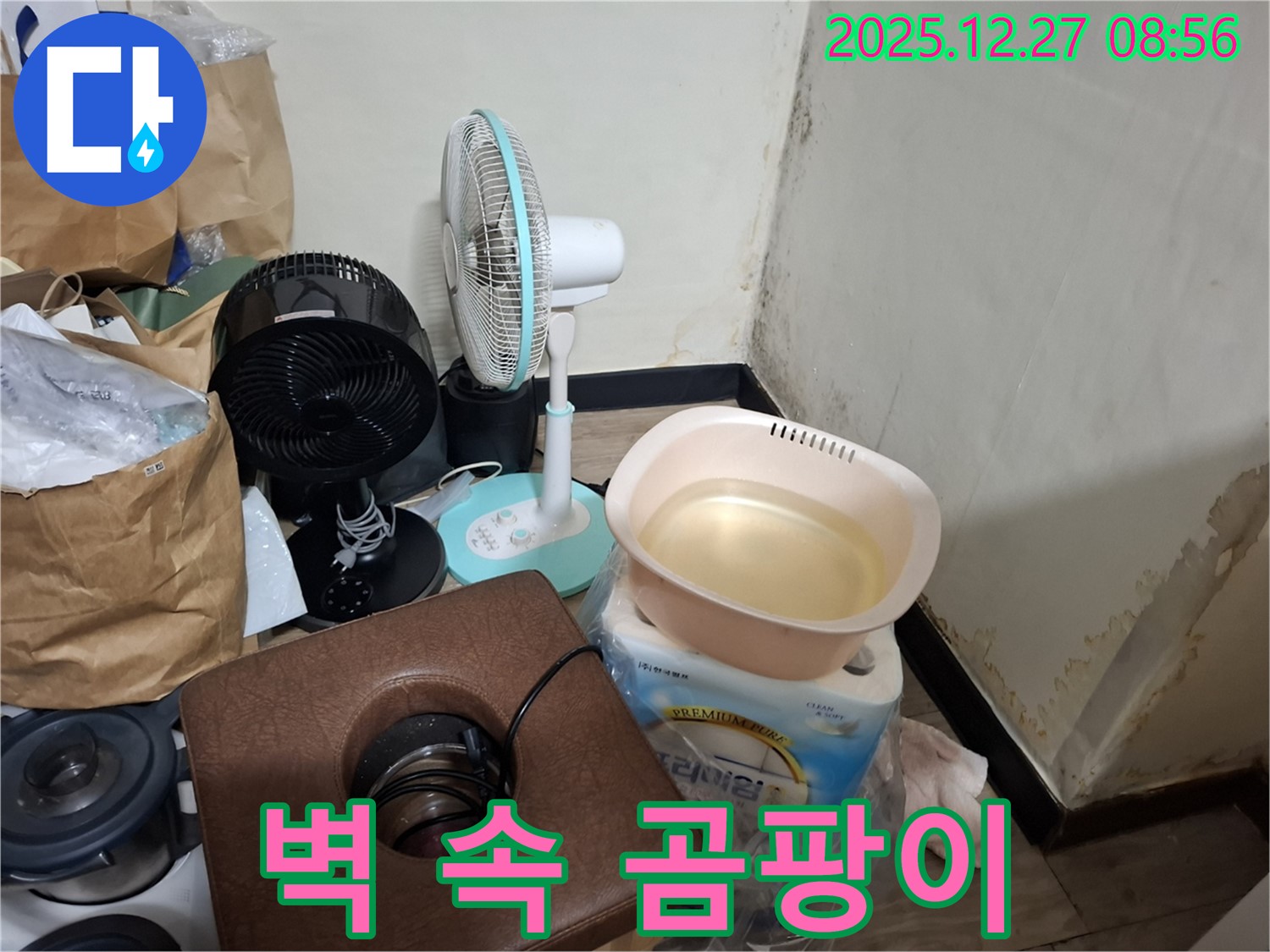 송파구 삼전동 누수 현장 - 벽 속 깊숙이 숨어있는 곰팡이를 제거하는 모습입니다 - 전문 장비 사용.