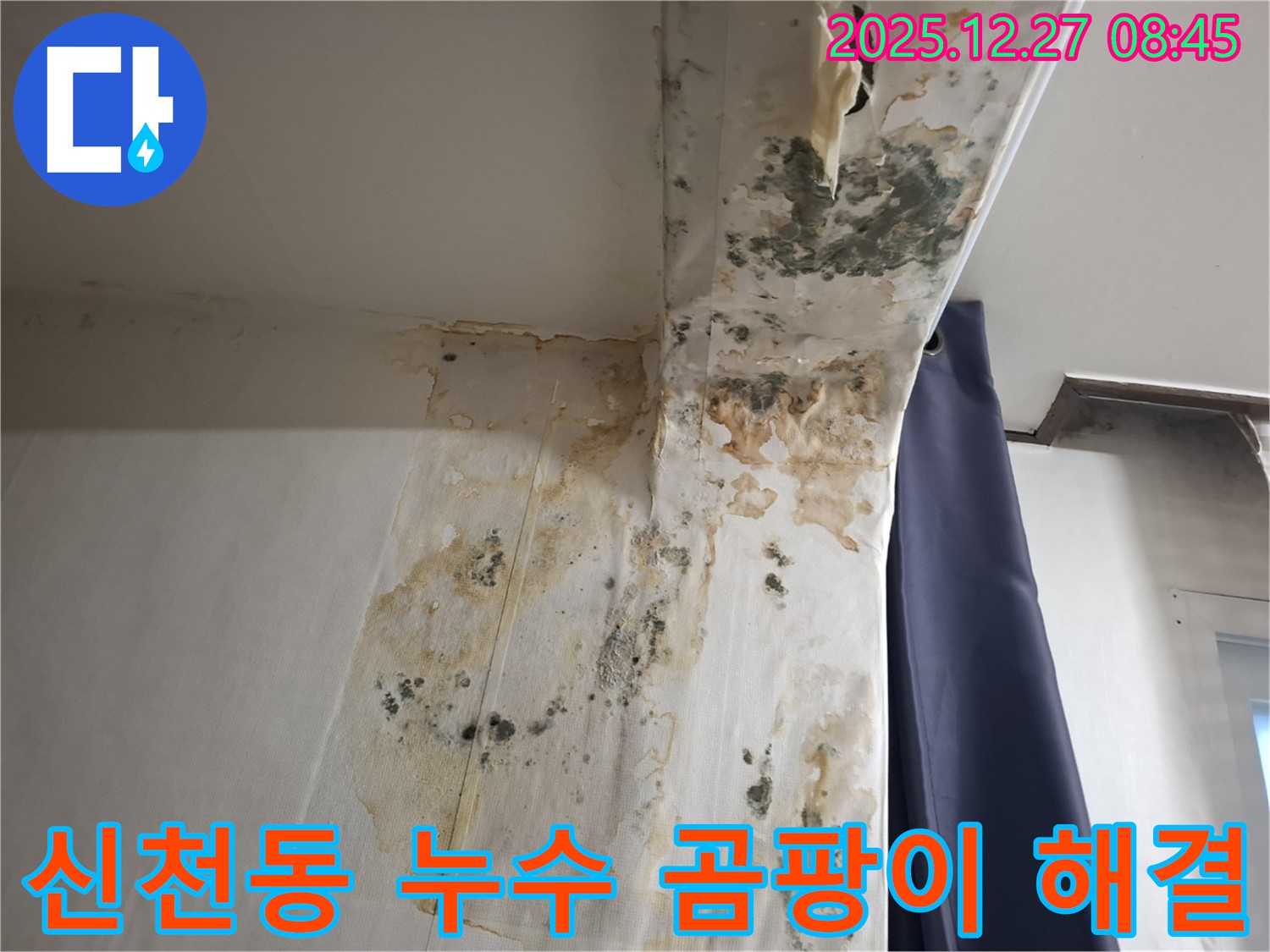 신천동 누수 현장 - 곰팡이 문제 해결 과정, 누수탐지 전문가의 꼼꼼한 작업