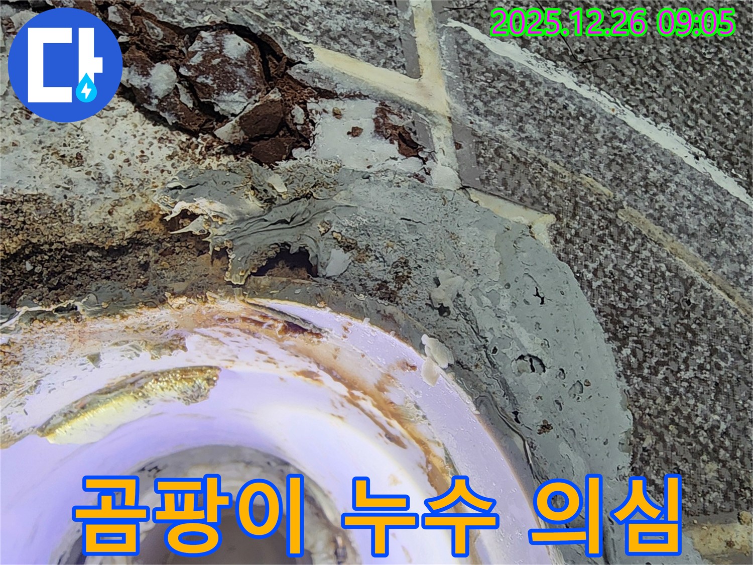 곰팡이 - 배수구 주변에 곰팡이가 핀 모습