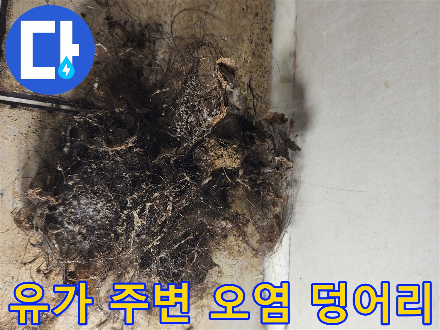 배수구-내부로-유입된-머리카락과-오염물질-상태
