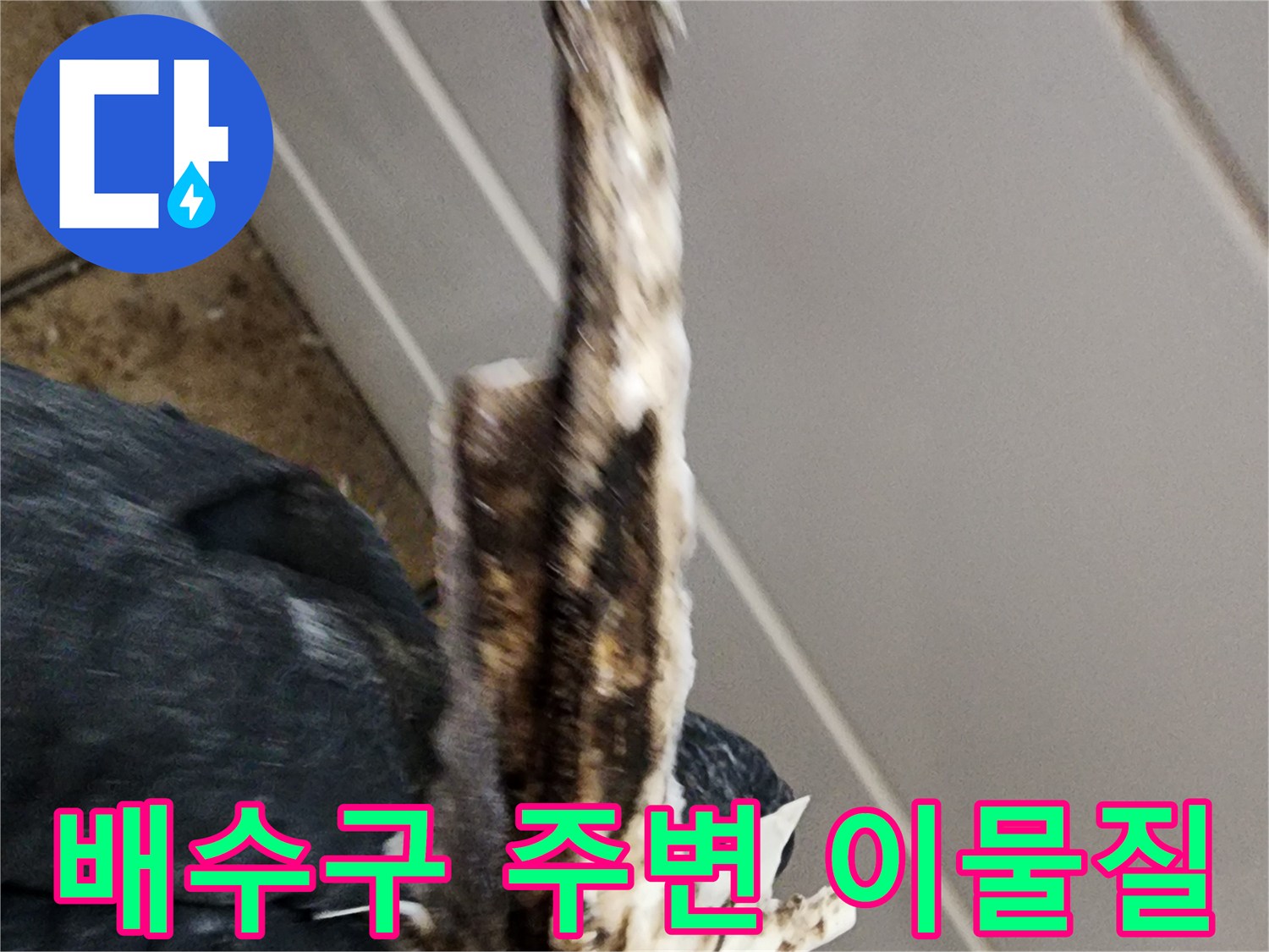 화장실-배수구-유가-주변의-이물질과-오염된-상태