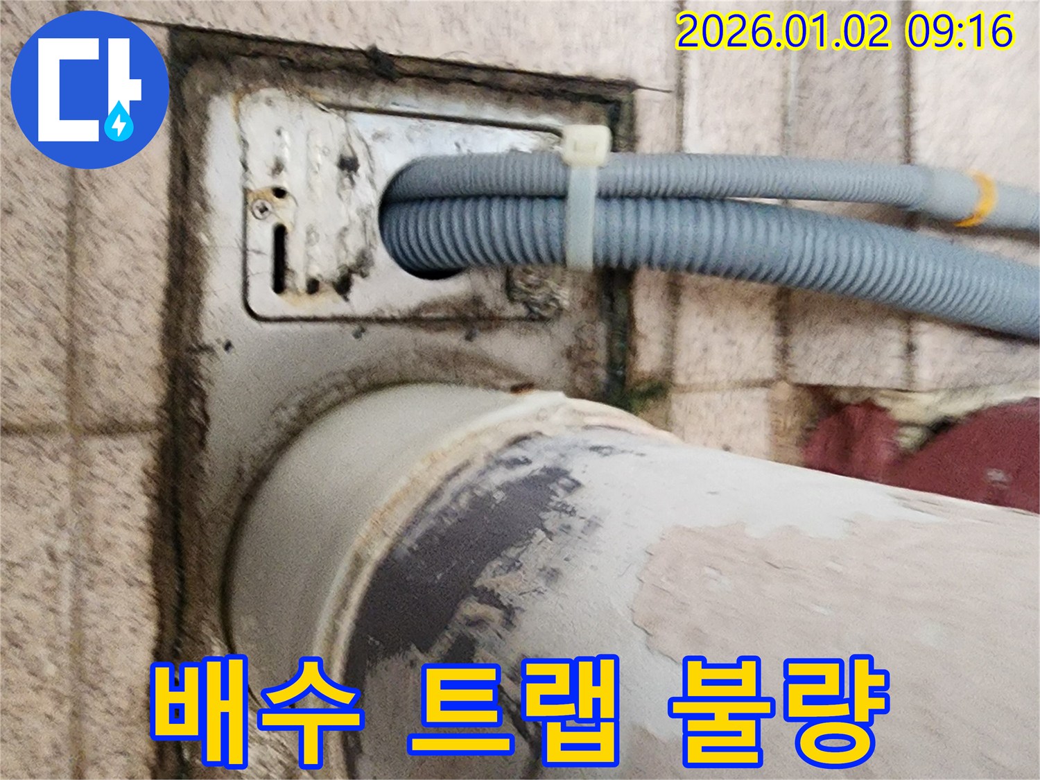 세탁기 하수구 주변 배수 트랩 불량 - 배수 트랩이 제대로 작동하지 않아 물이 역류하고 누수가 발생하고 있습니다.
