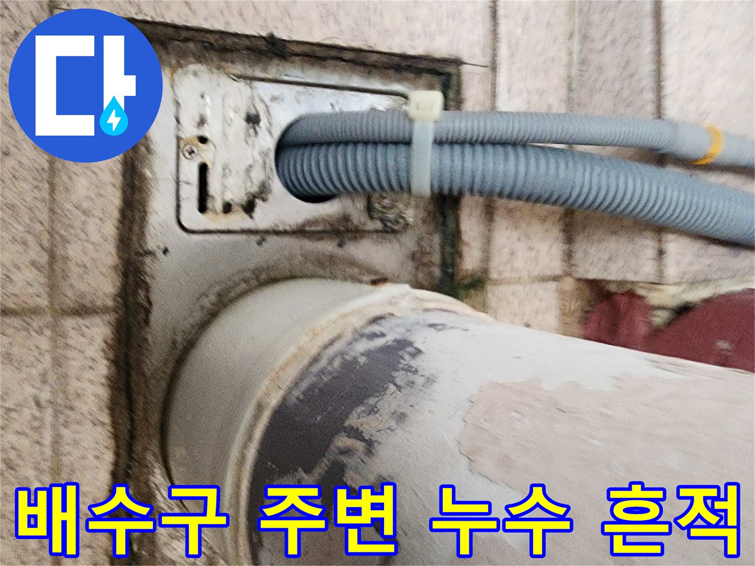 화장실 배수구 유가 주변의 젖은 흔적과 배관 상태