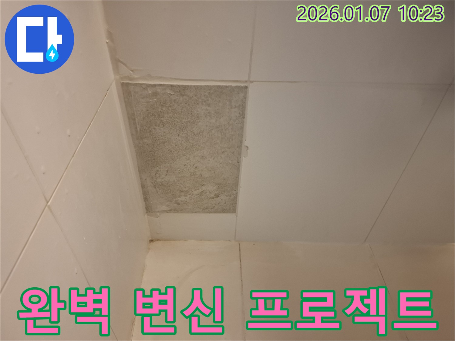 용인시 처인구 - 곰팡이 핀 타일, 완벽 변신 프로젝트로 쾌적한 공간을 되찾으세요!