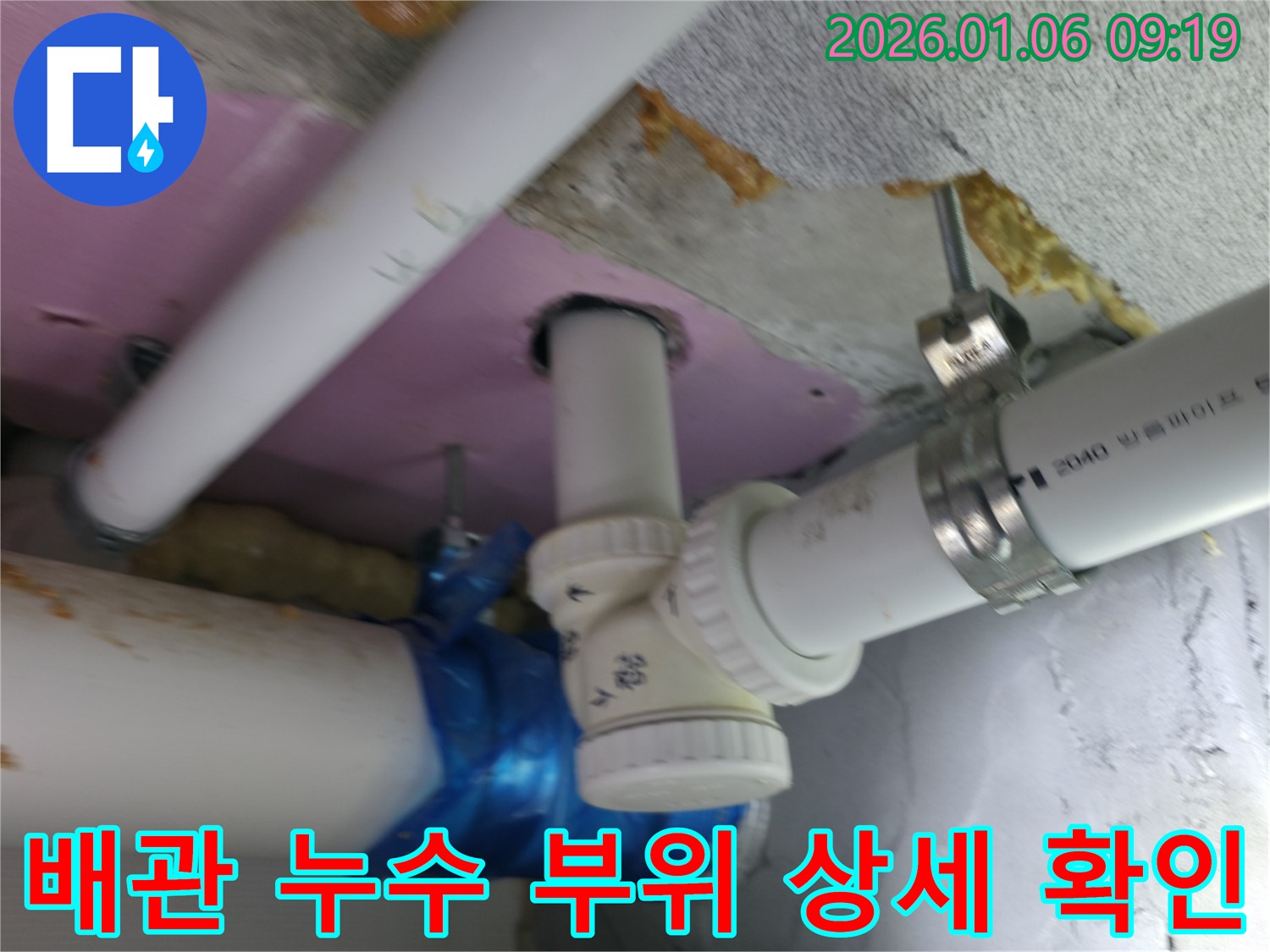 하남에서 발생한 배관 누수 현장에서 누수 부위를 상세하게 확인하고 있습니다 - 정확한 진단이 완벽한 해결의 시작입니다.