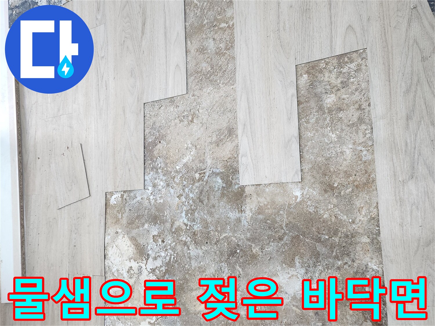 누수 발생 후 물에 젖어 변색된 마루 하부 구조물