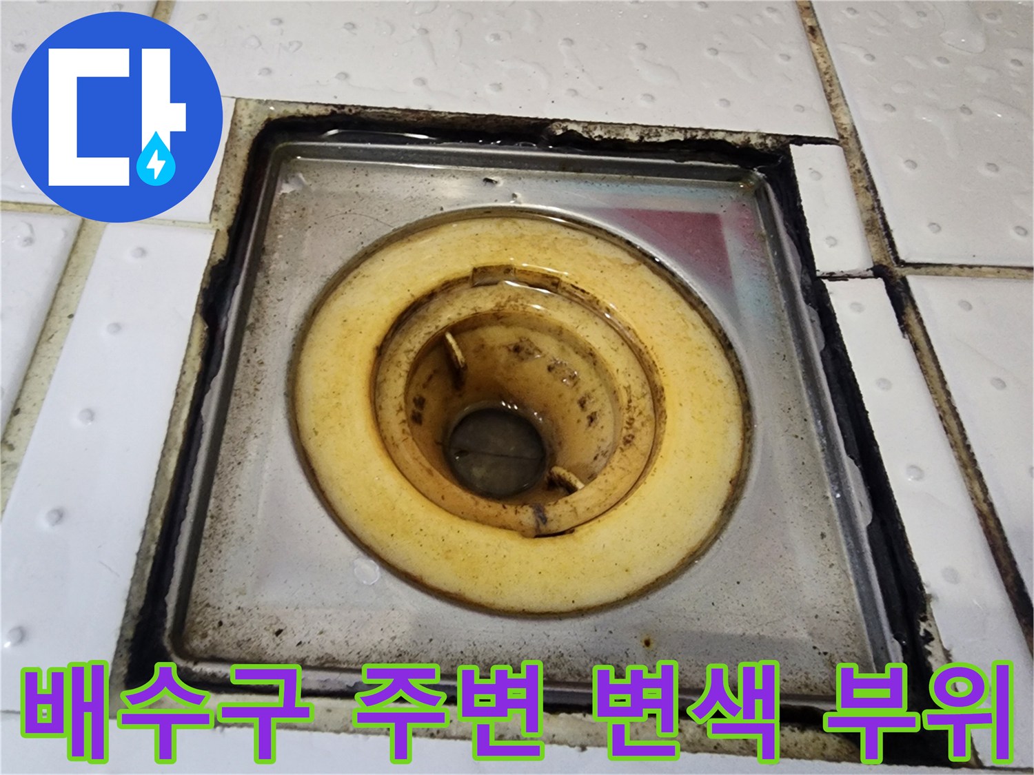 배수구-주로-주변의-황색-변색과-오염된-타일-사이