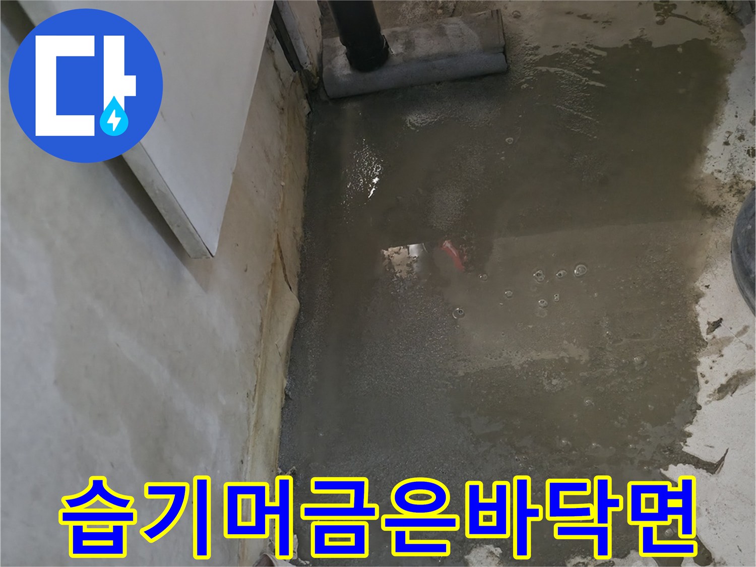 송파동 현장 바닥의 물기 젖은 콘크리트 상태를 근접 촬영한 사진입니다.