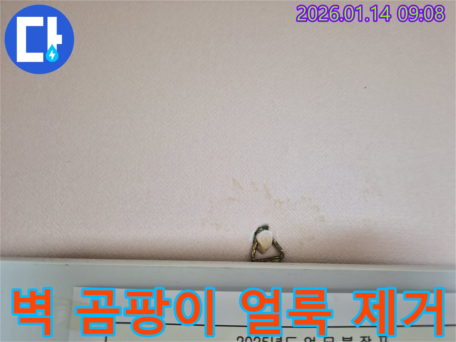 도곡동에서 벽 곰팡이와 얼룩을 누수탐지 전문가가 완벽하게 제거합니다 - 깨끗하고 쾌적하게!