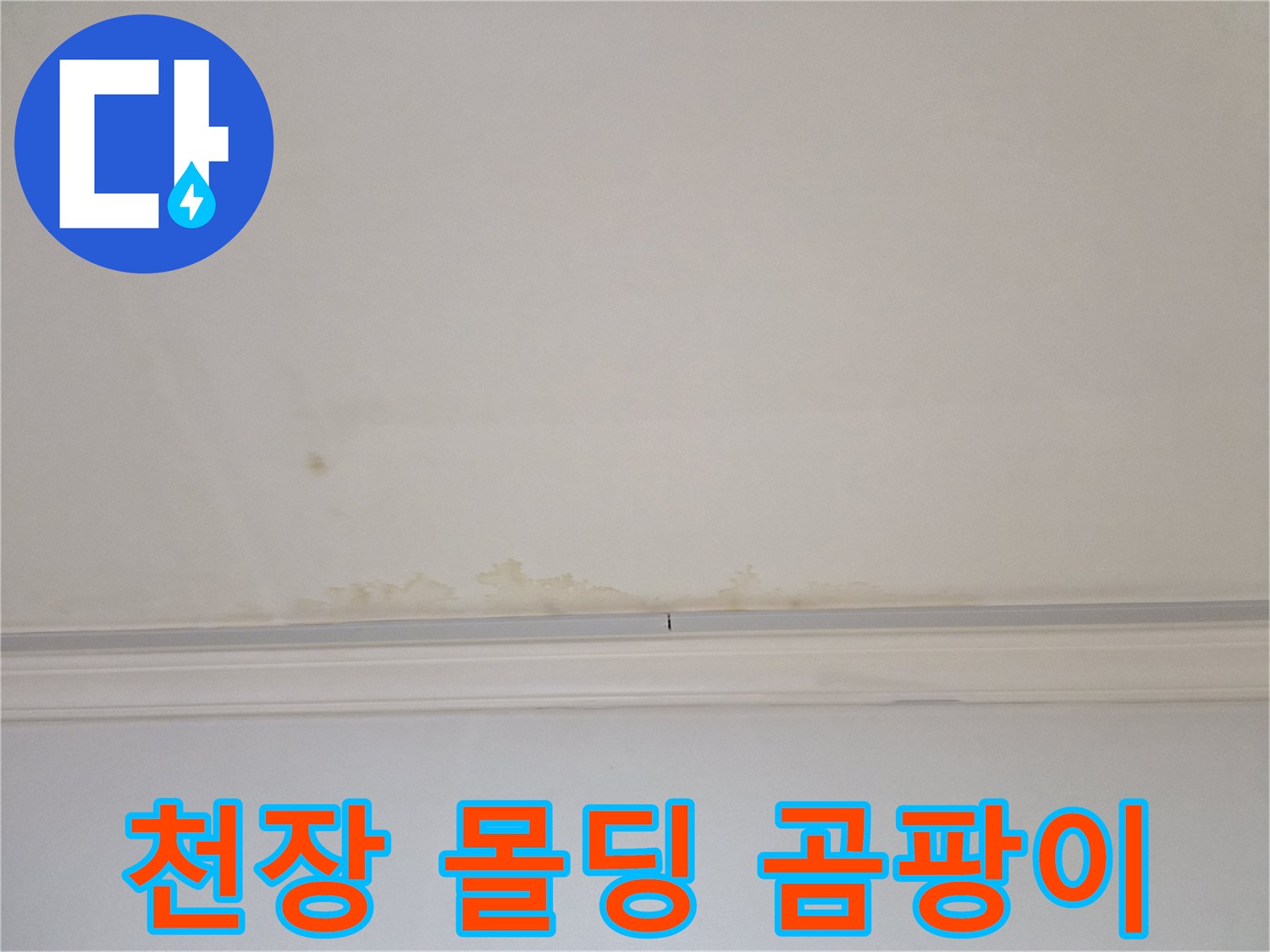천장-몰딩-틈새로-번진-누수-얼룩과-곰팡이