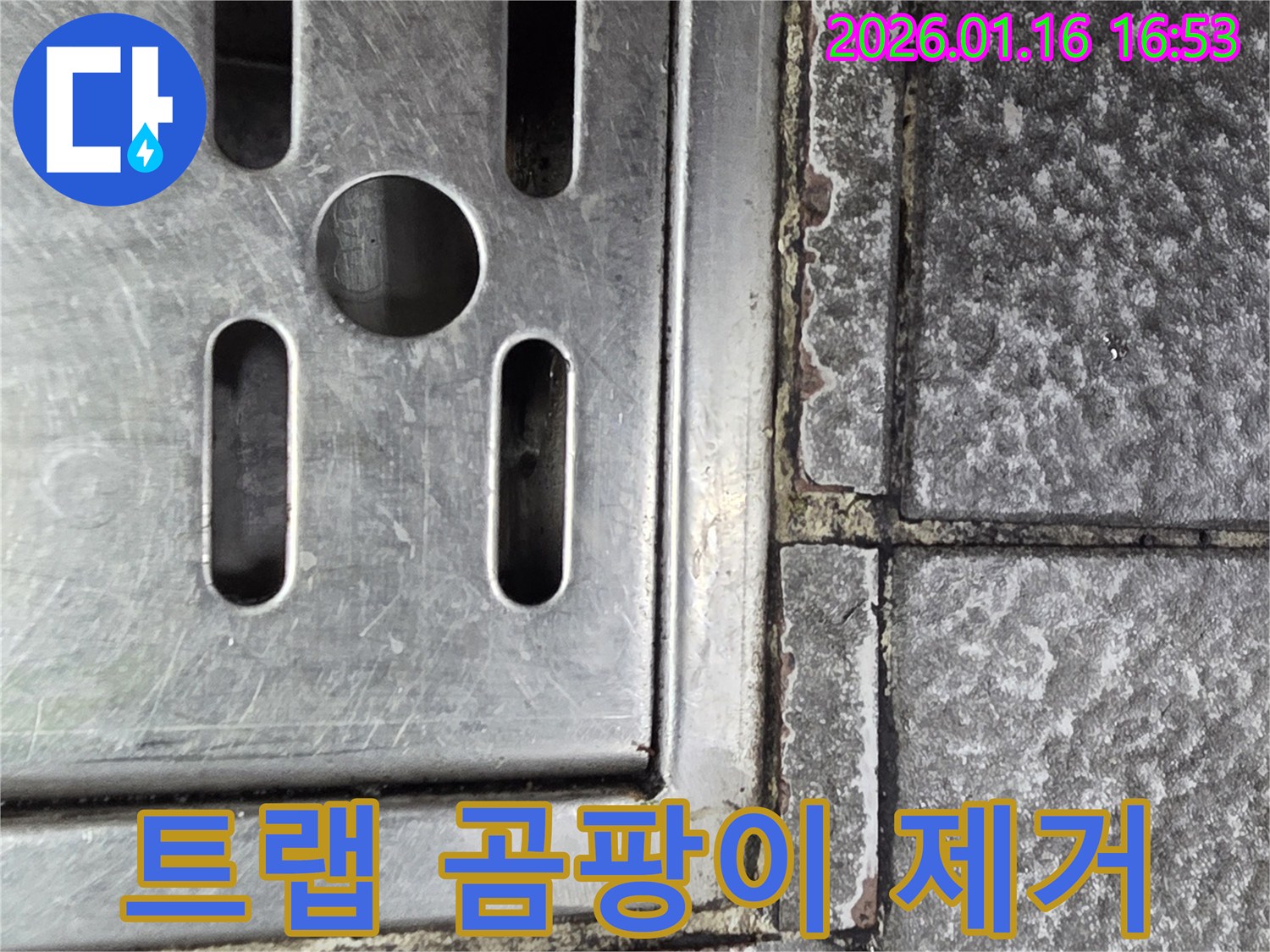 오류동 하수구 트랩 주변 곰팡이 제거 및 방지 시공