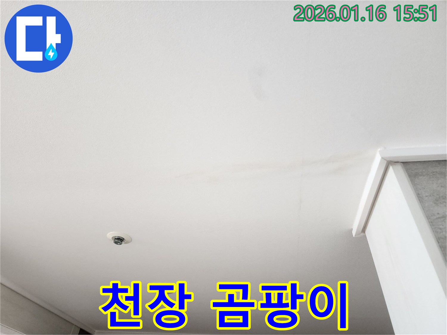 천장 표면에 나타난-검은색 곰팡이와-옅은 물 얼룩이 함께 보이는-누수 관련 사진