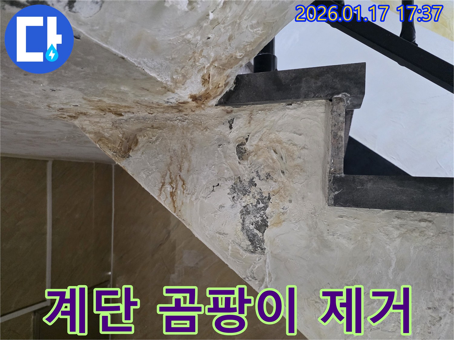 중랑구 면목동 누수 - 계단 곰팡이 제거 및 재발 방지 시공 후기 이미지