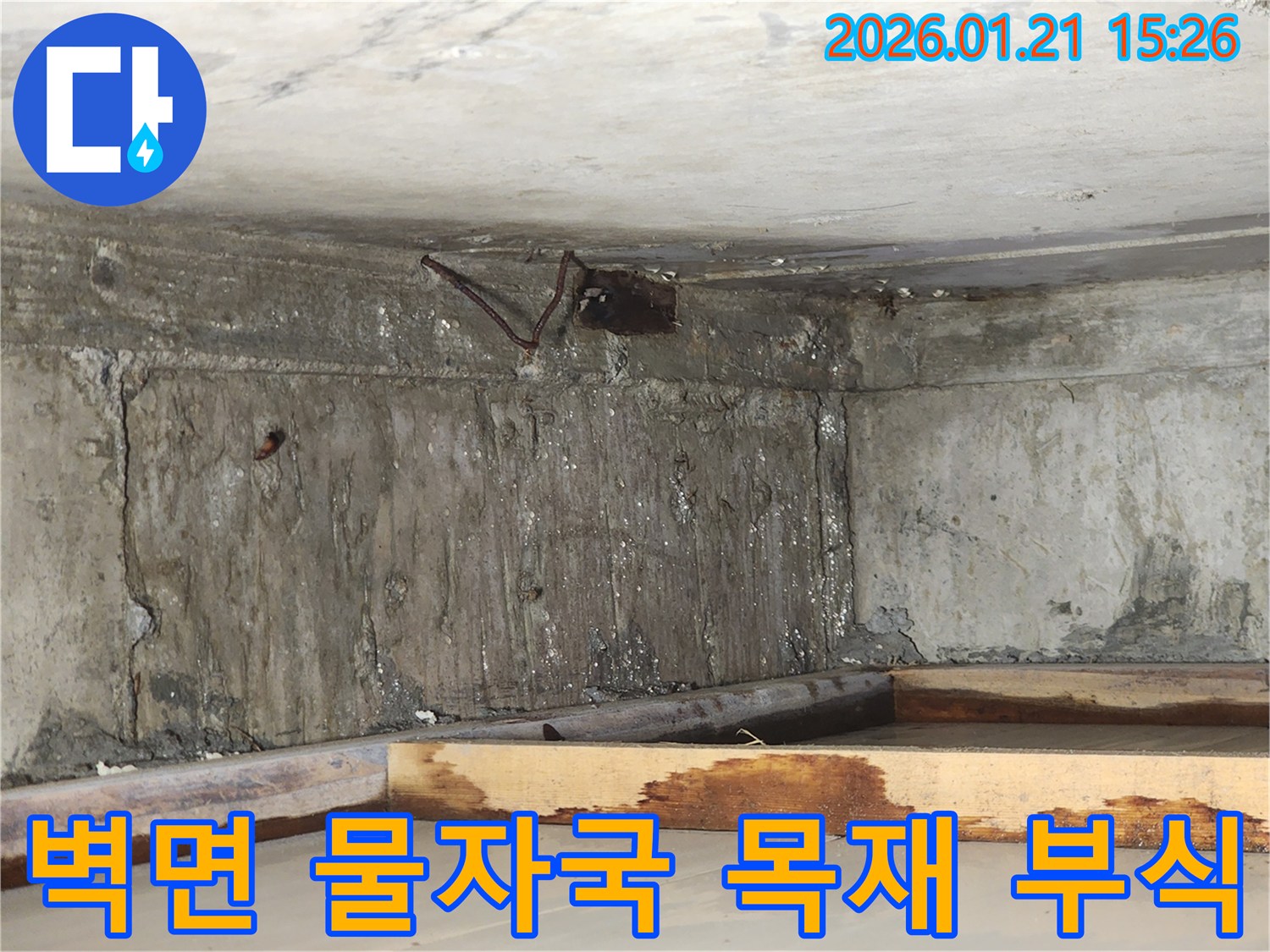 습기가-가득한-지하-공간에서-천장-누수로-인해-목재와-벽면에-곰팡이가-시작되는-모습