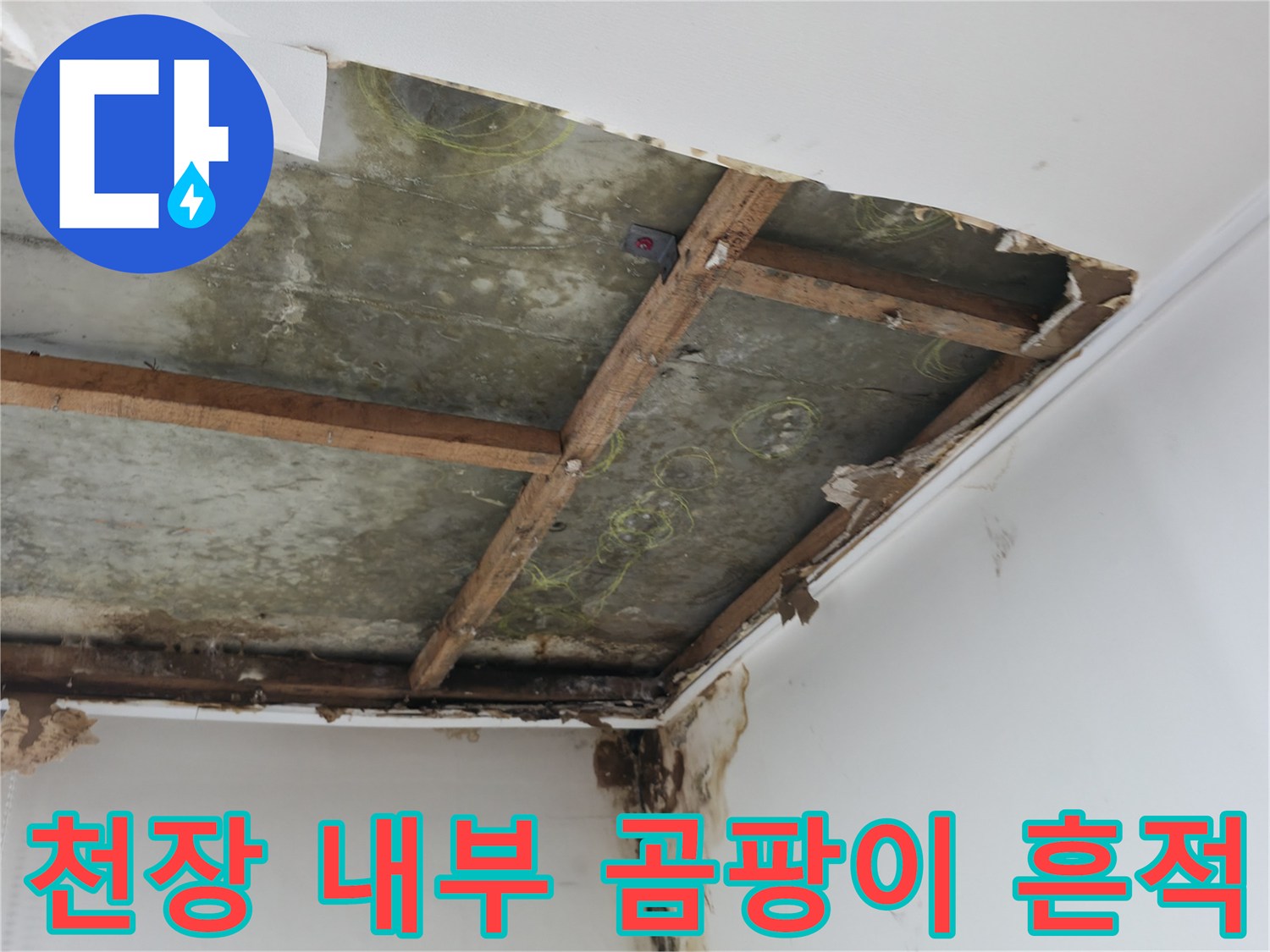 마포구 아파트 천장 내부의 습기와 곰팡이 발생 상태