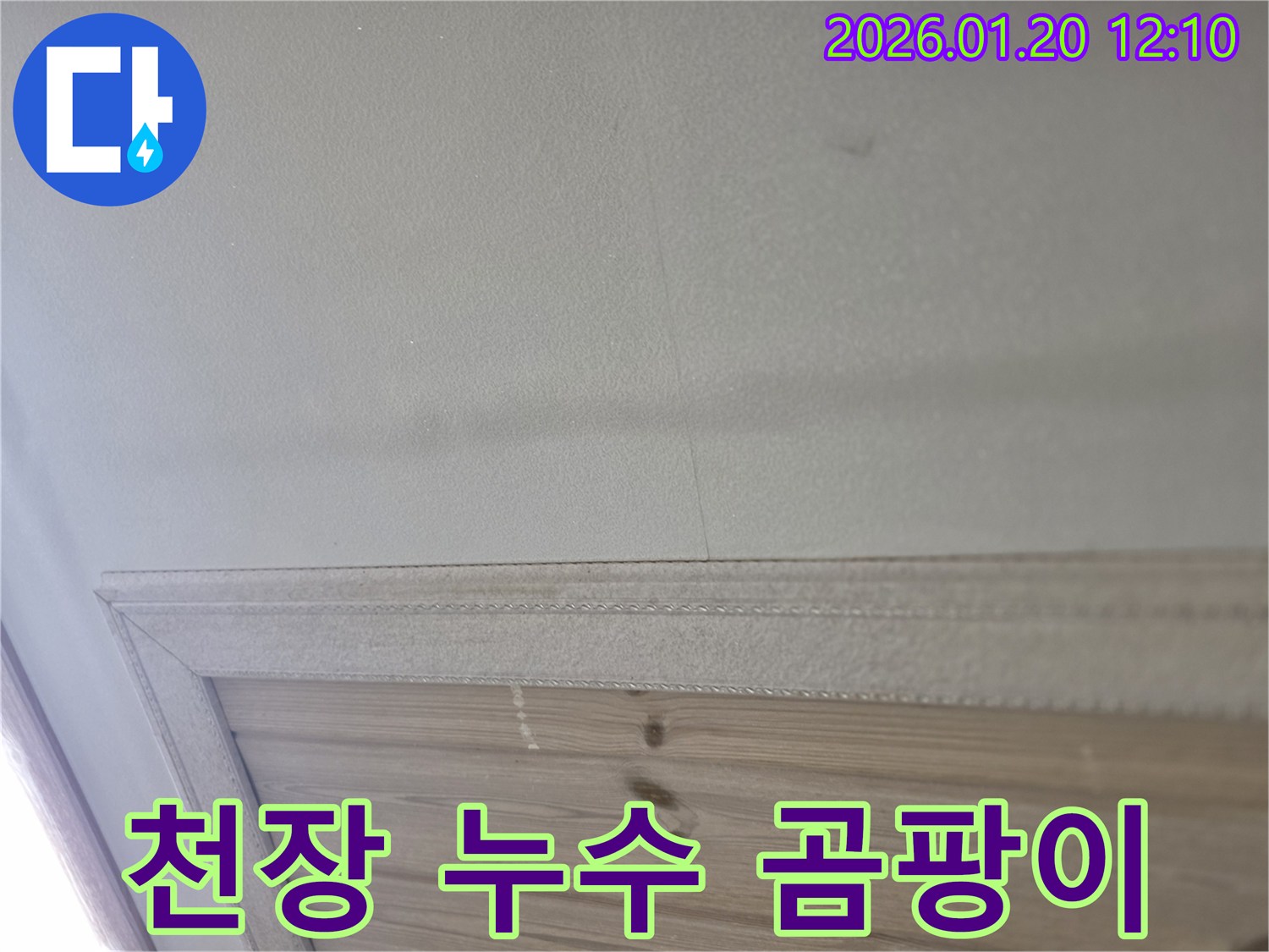 안산 상록구 천장 누수 곰팡이 해결 - 정확한 원인 진단과 꼼꼼한 시공으로 누수 걱정 끝!