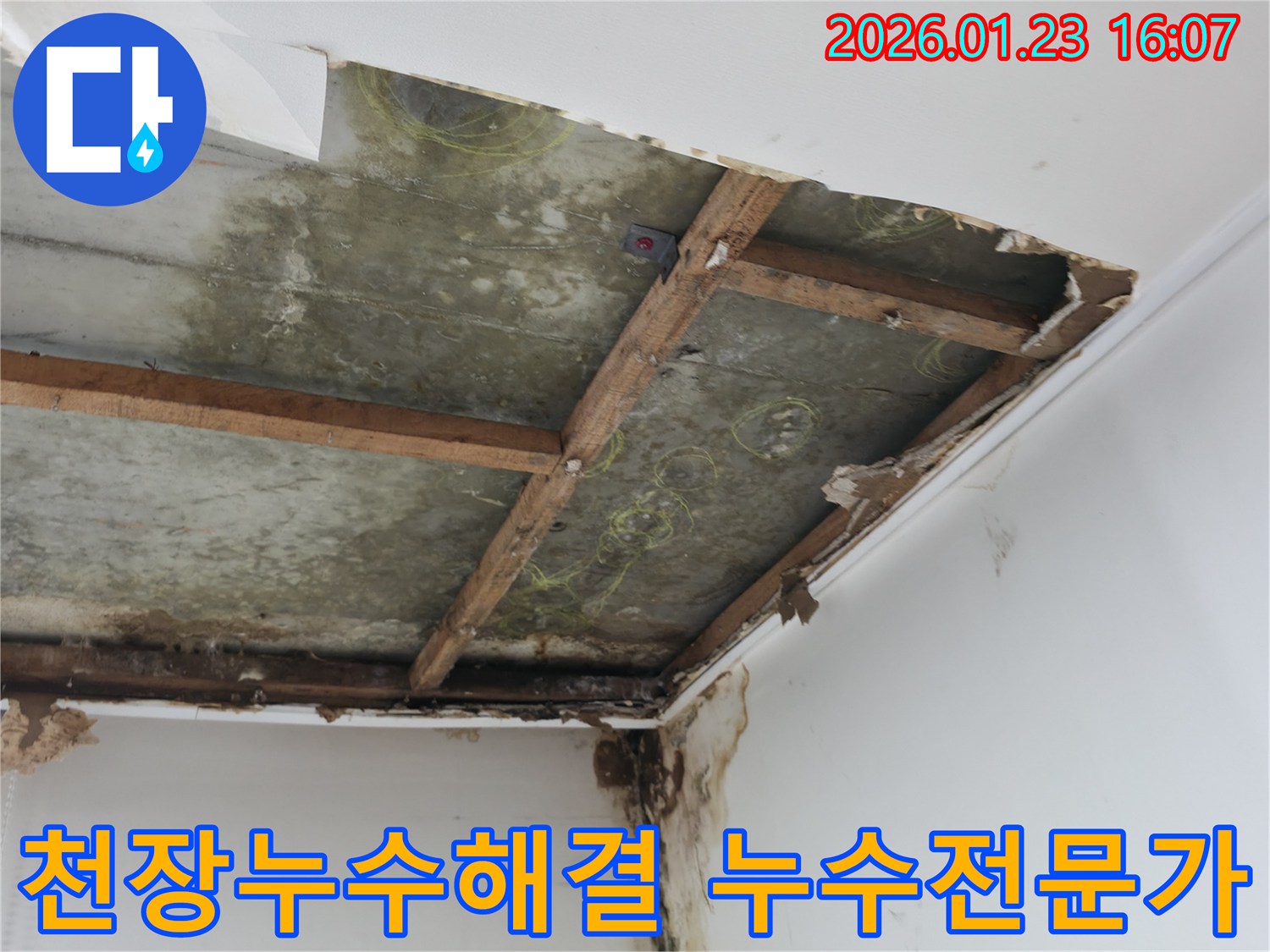 천장-누수-발생-지점을-정확히-파악하고-수리-계획을-수립하는-전문가의-모습