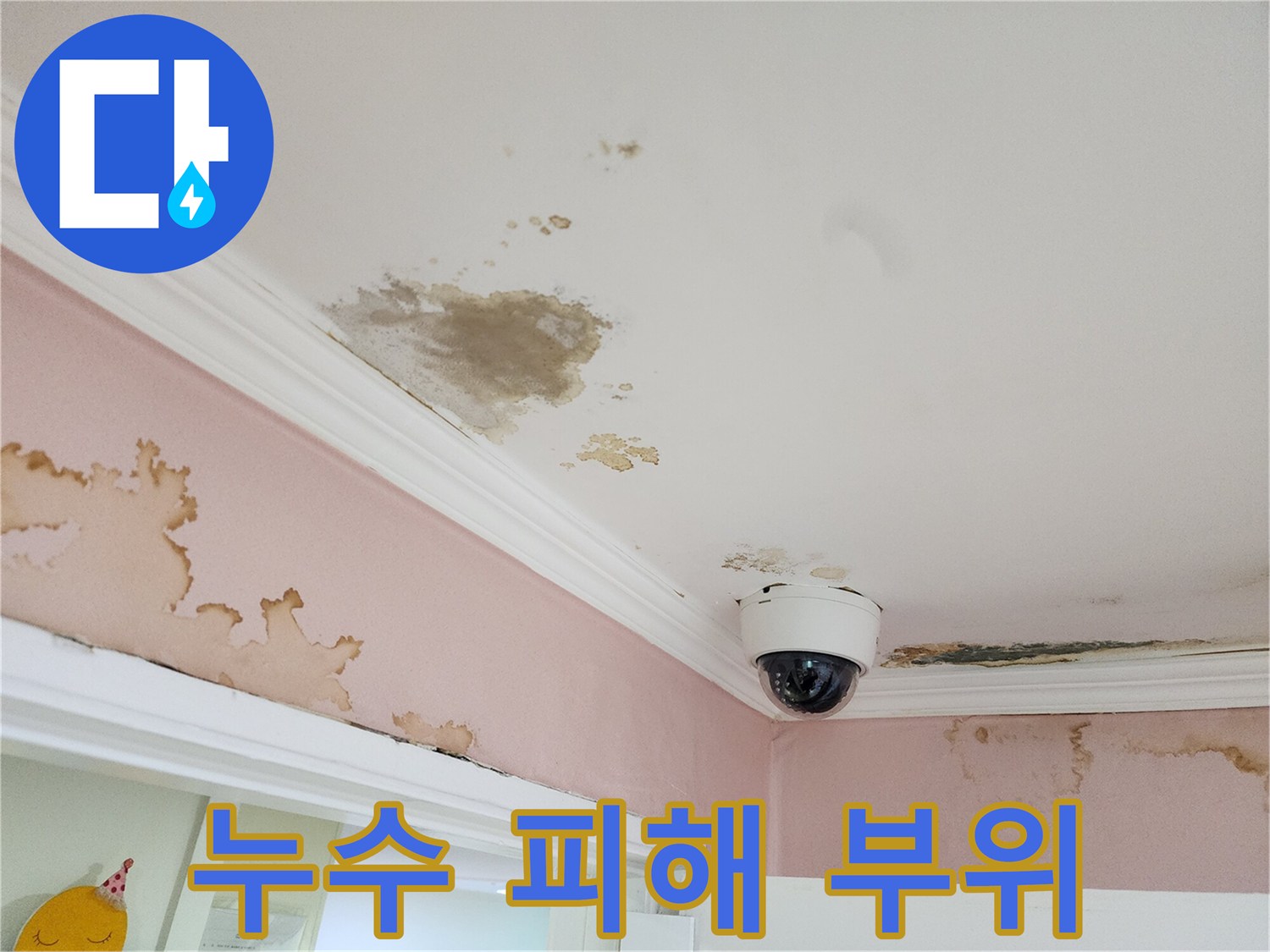 천장 몰딩부-물자국과 곰팡이가 섞인 모습