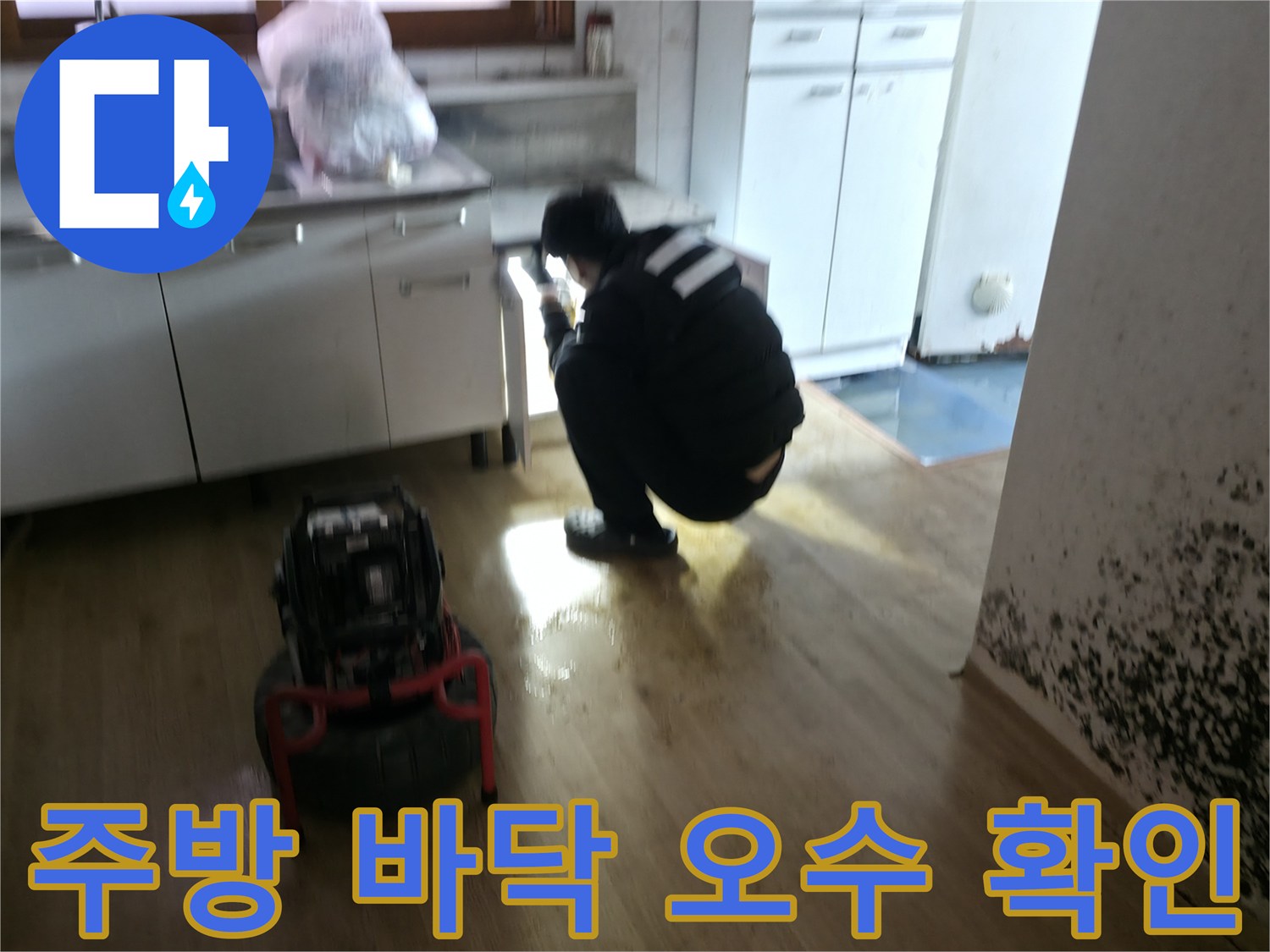 강북구-반지하-주방-오수-역류-현장-점검-모습