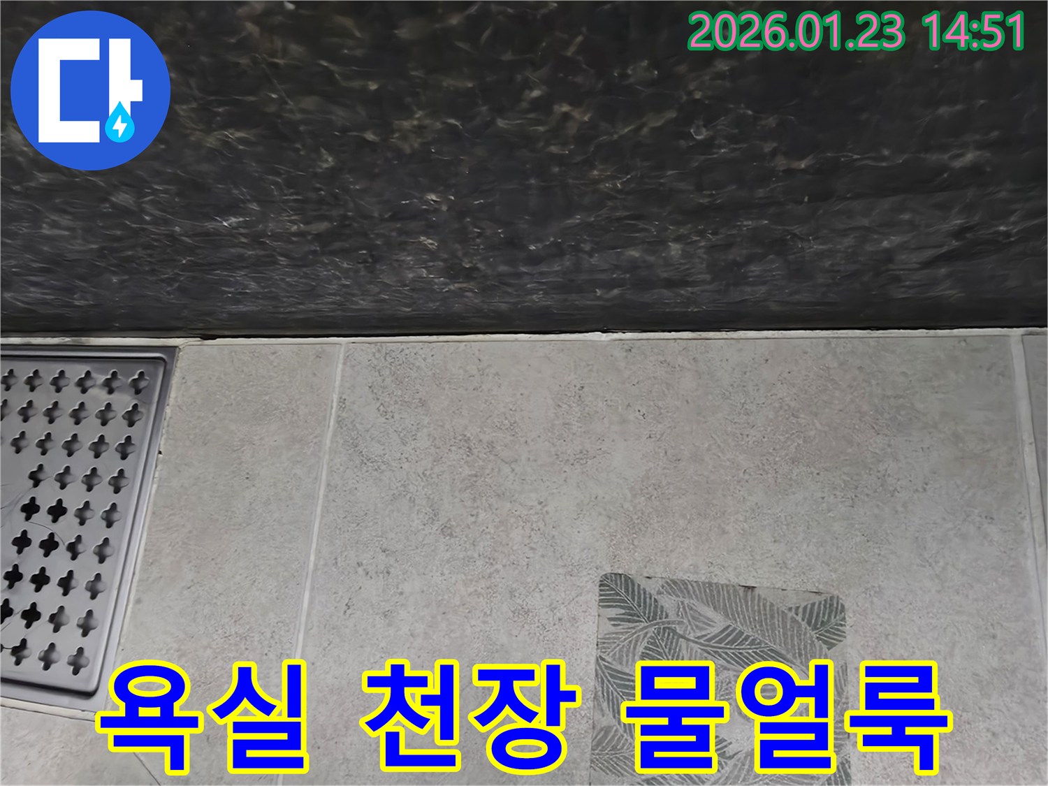 파주 가람동 욕실 천장과-벽면 경계부의 넓은 물얼룩- 습기 문제 진단