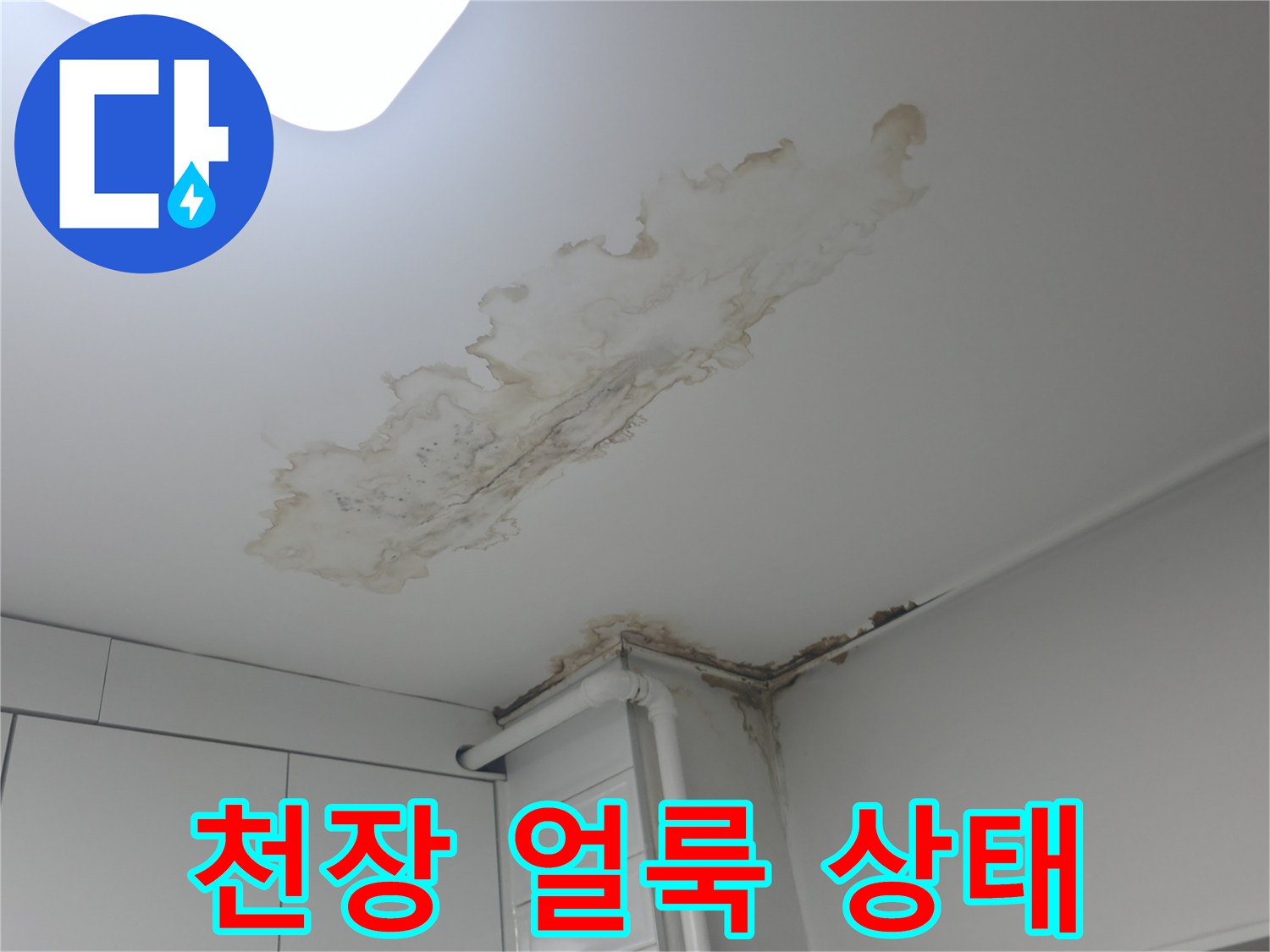 벽지 표면에 나타난 누수로 인한 곰팡이와 변색