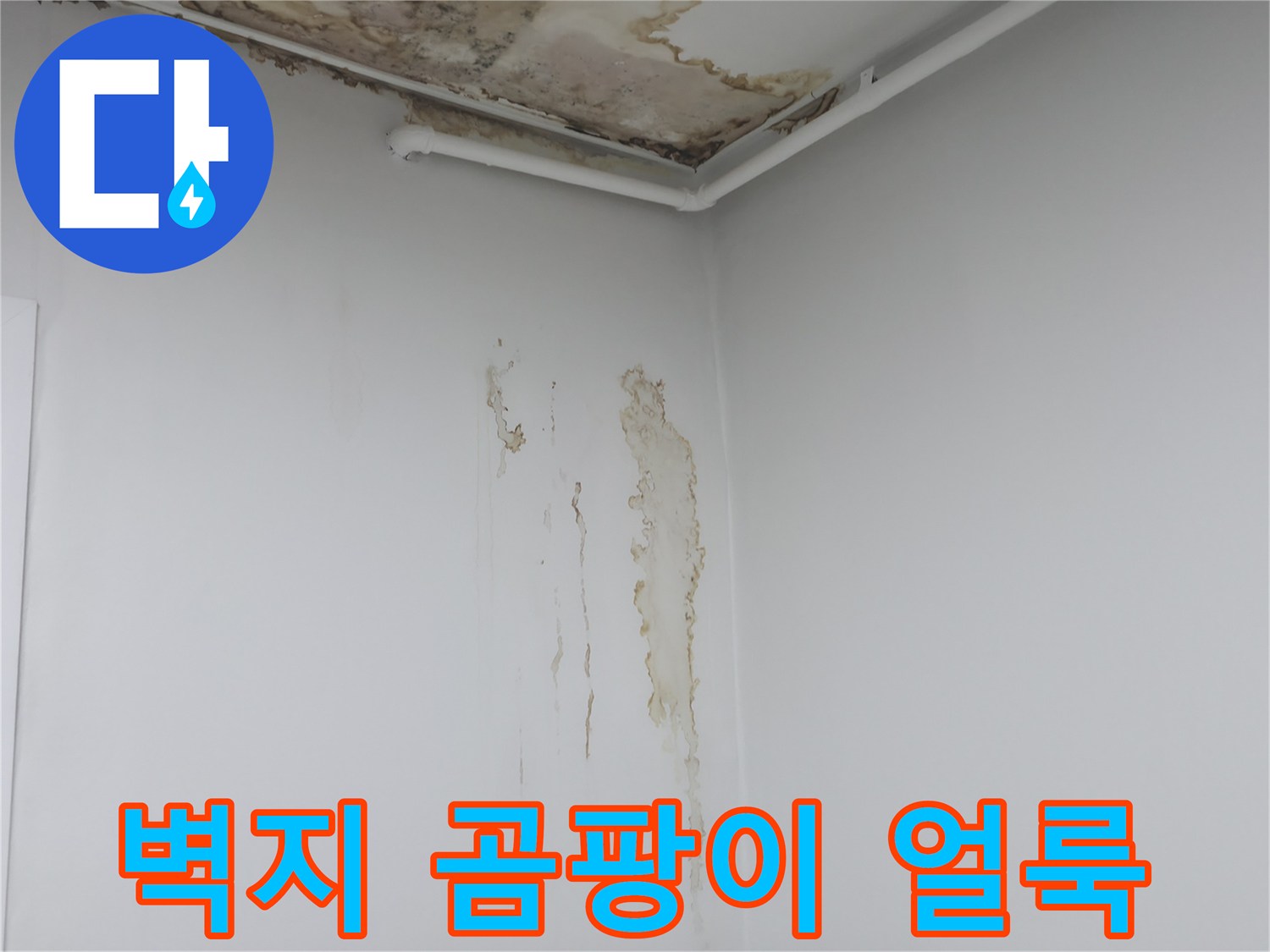 천장 모서리-물샘으로 인한 벽지 오염 부위