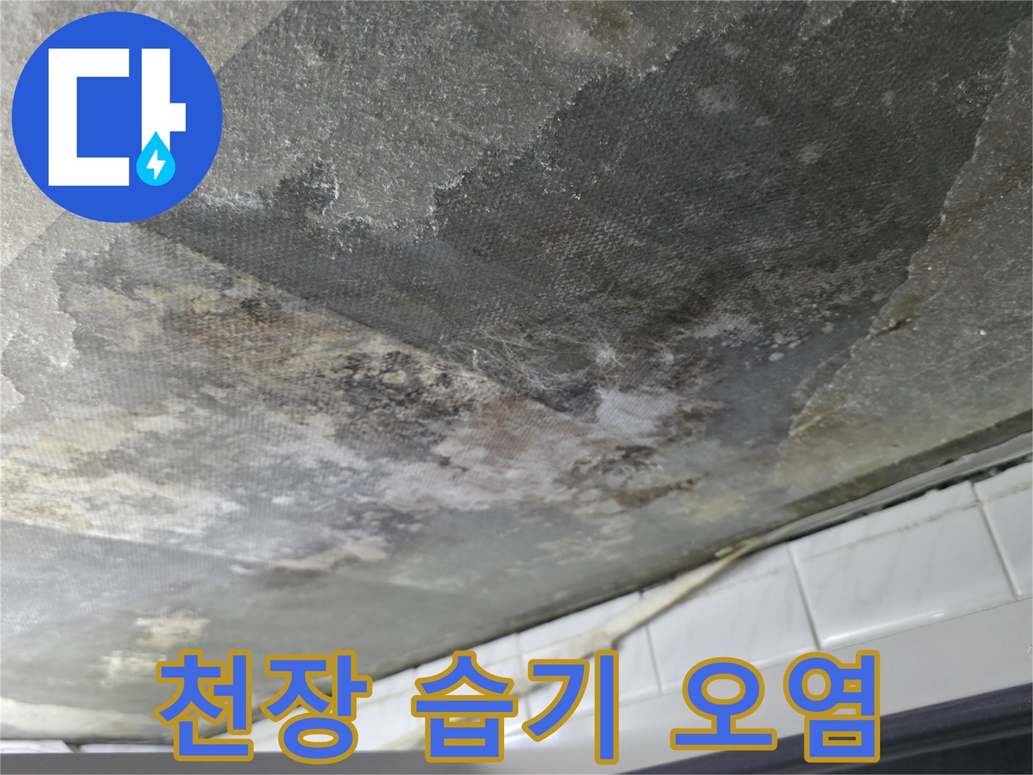 부천 화장실 천장-콘크리트 슬래브의 심한 습기와 변색 상태