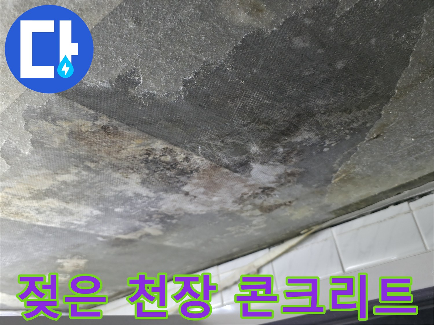 부천-화장실-천장-콘크리트-습기-및-오염-상태