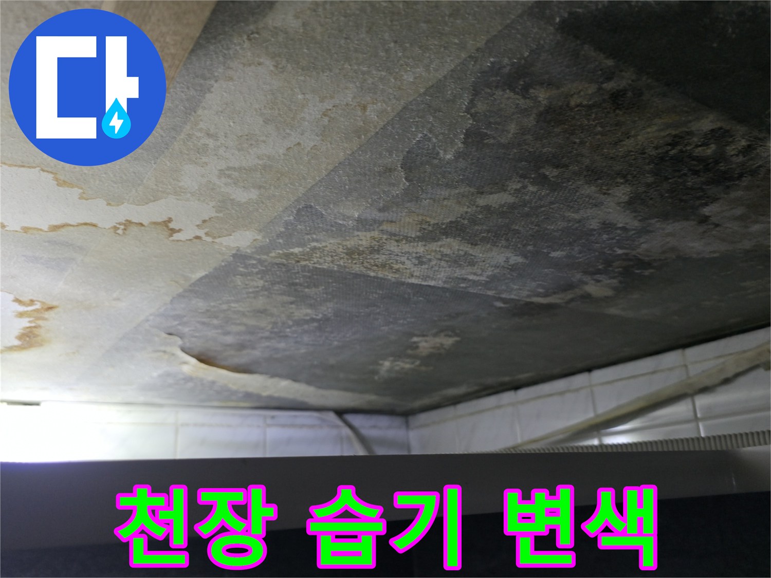 콘크리트-천장-측면의-하얀-백화현상과-젖은-흔적