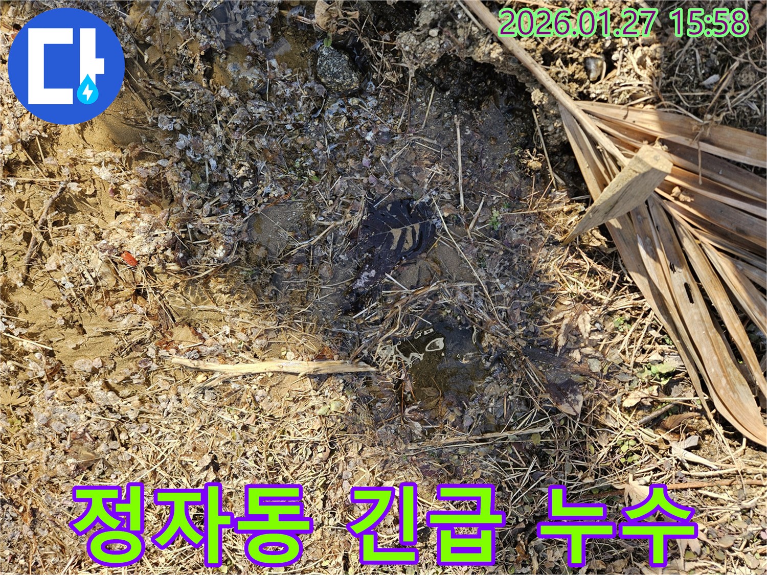분당 정자동 긴급 누수 해결 - 신속하고 정확한 누수탐지 전문업체