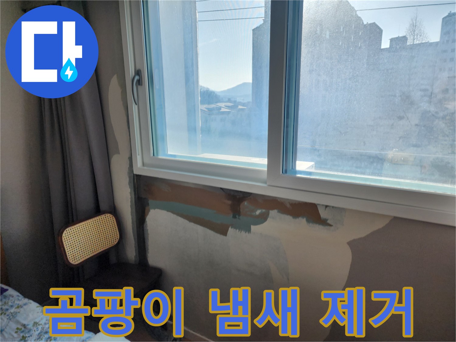 곰팡이 냄새 제거 - 상쾌한 환경 - 완벽한 누수 해결