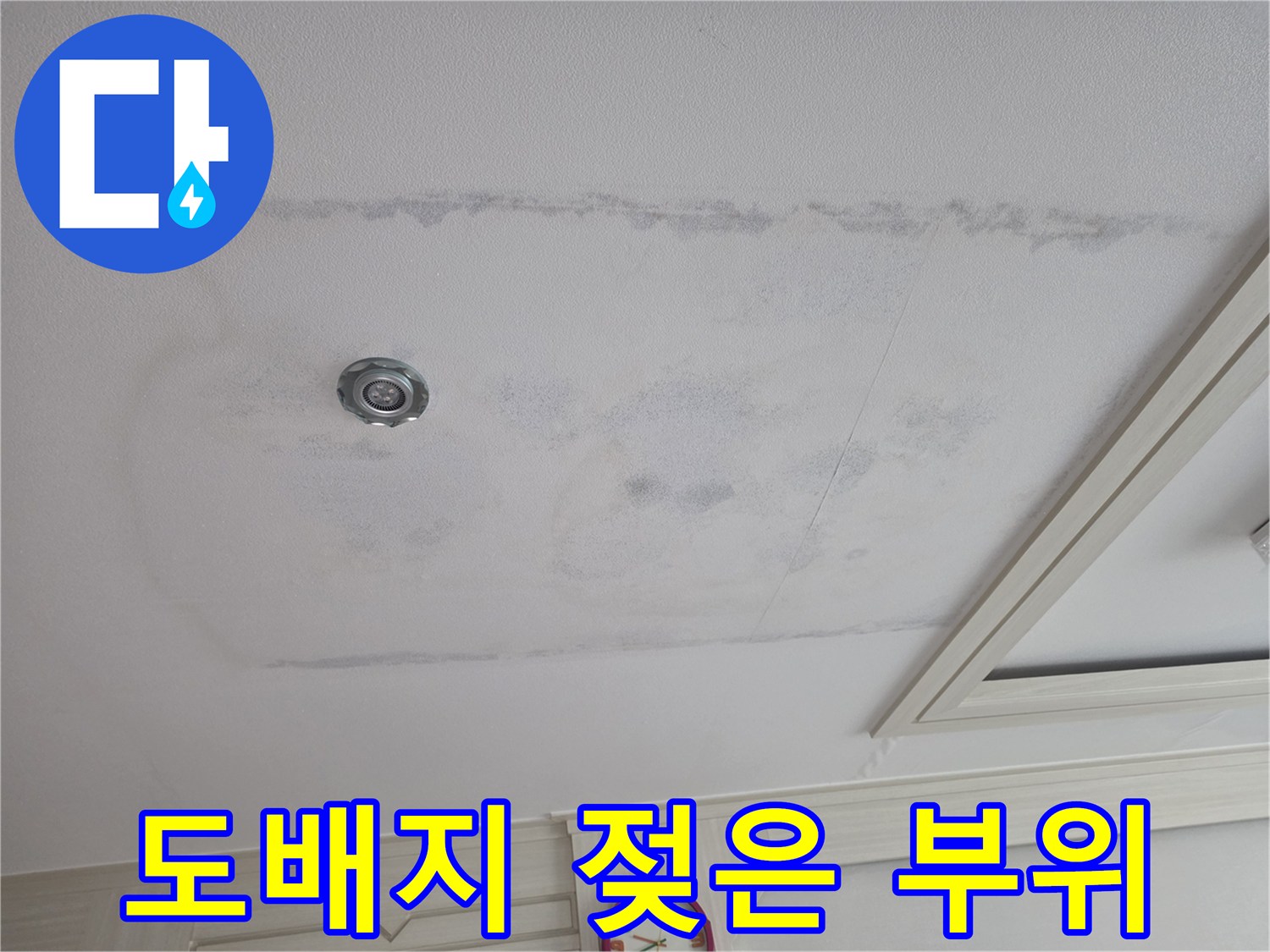 천장 마감재에 나타난 넓은 수분 얼른 흔적