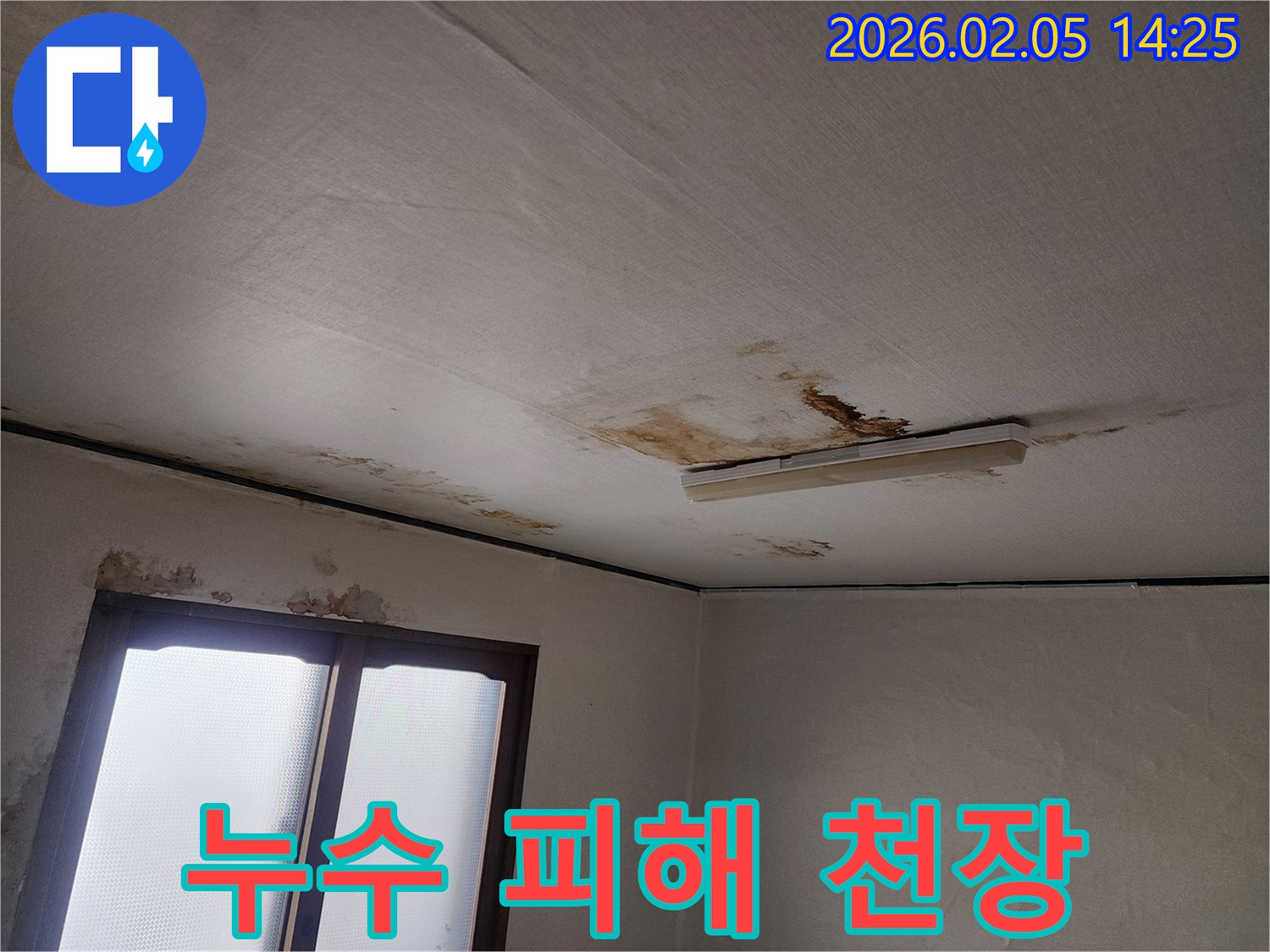 물샘-피해로-천장-도배지가-손상되고-곰팡이가-번진-상태를-촬영했습니다