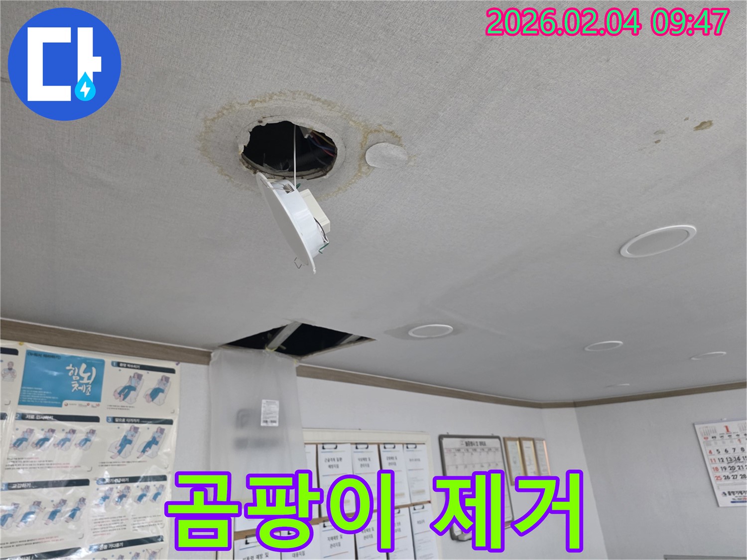 양천구 천장 누수 - 곰팡이 제거 및 복구 작업