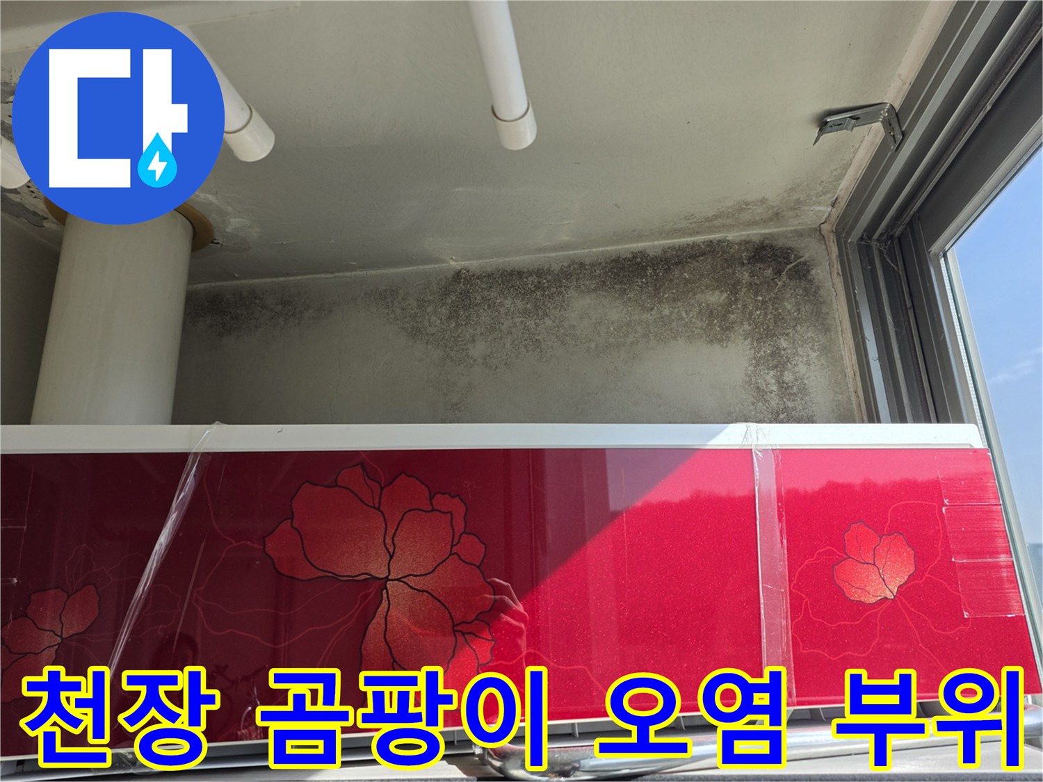 누수 발생 지점 인근-천장과 벽면의 곰팡이 오염 사진