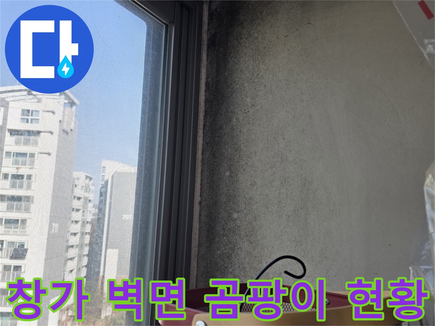창문 프레임 주변 - 곰팡이가 번진 벽지의 모습